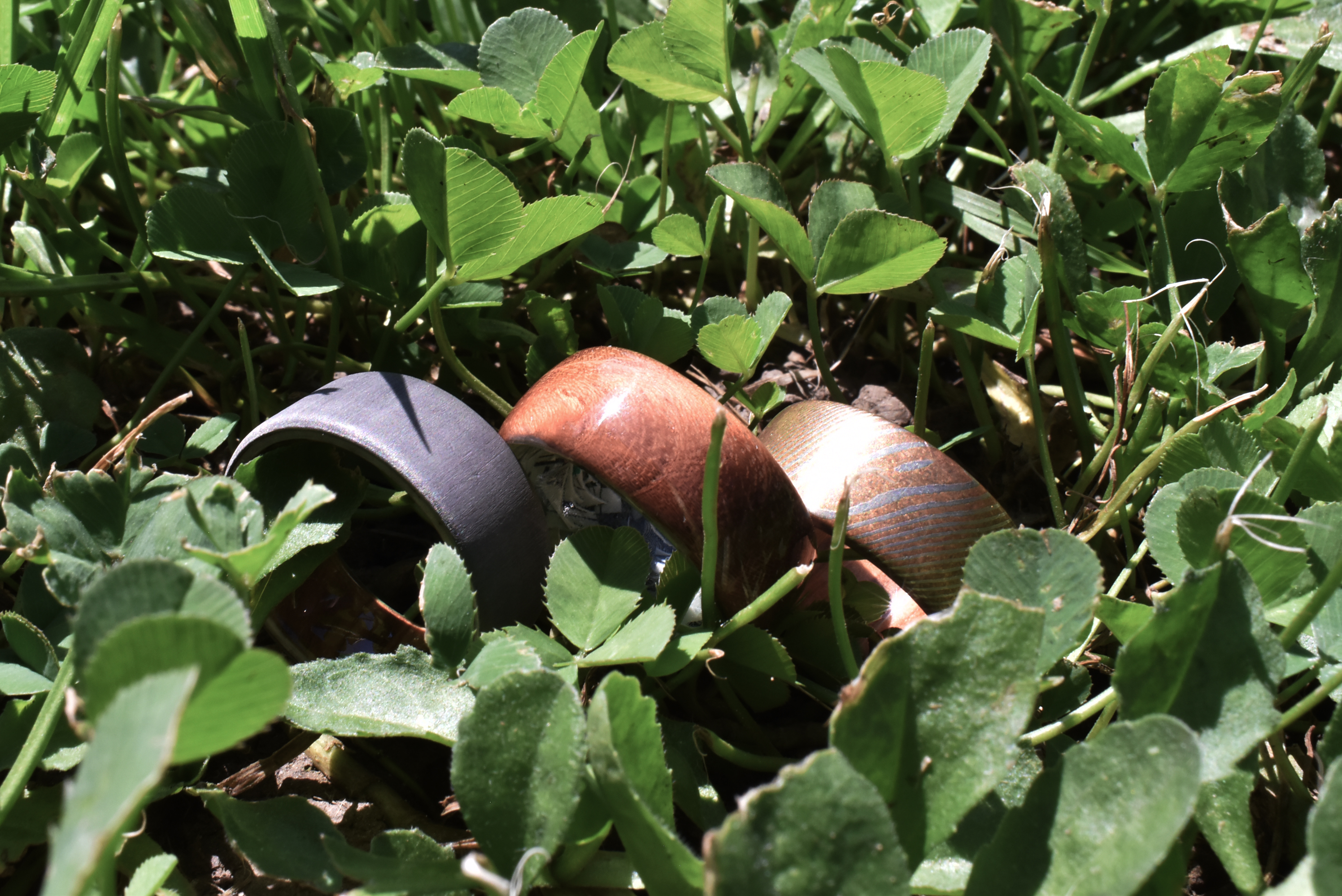 Anadolija/Melika Hrvic