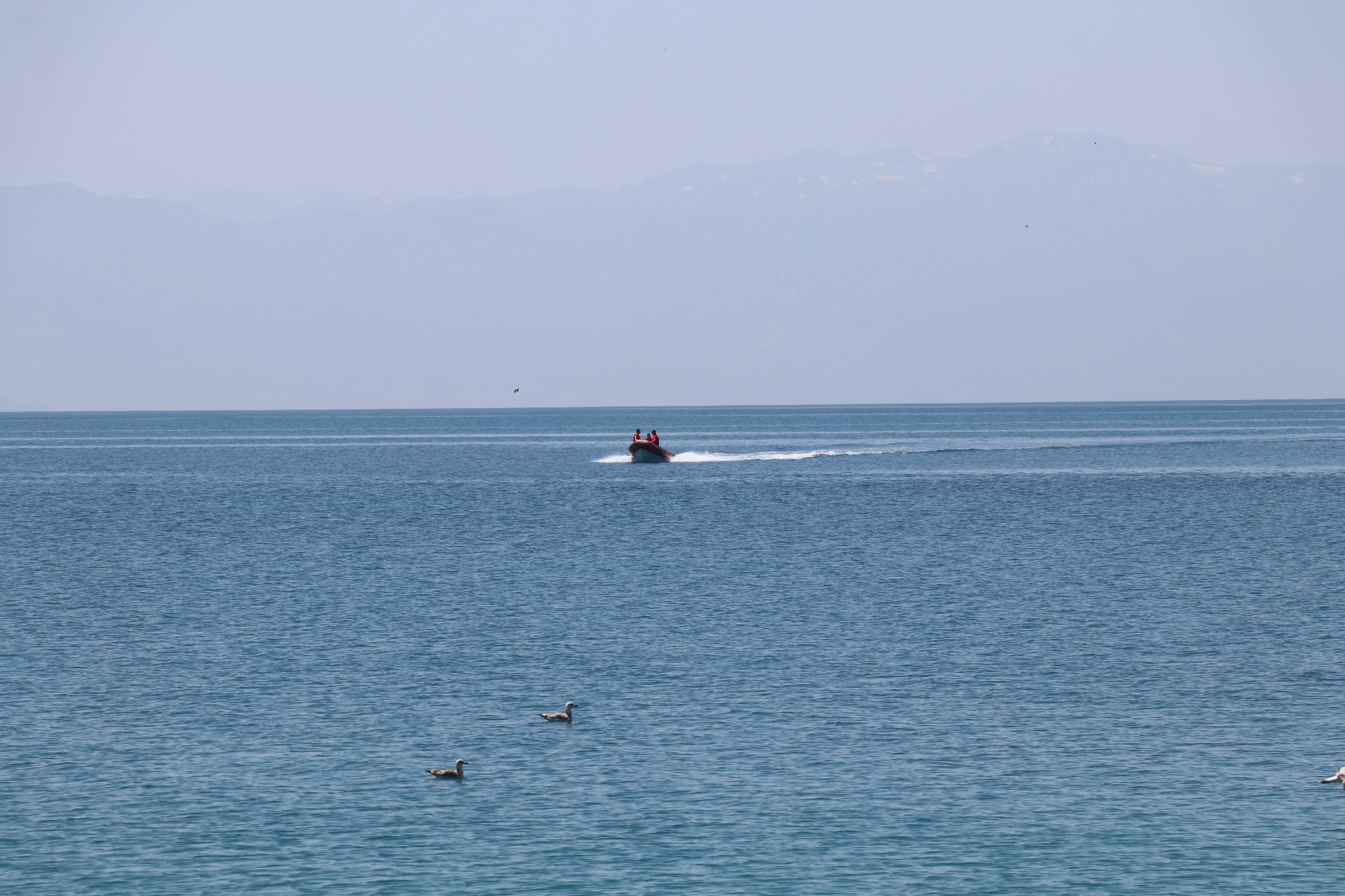 20200719_2_43514730_56816950