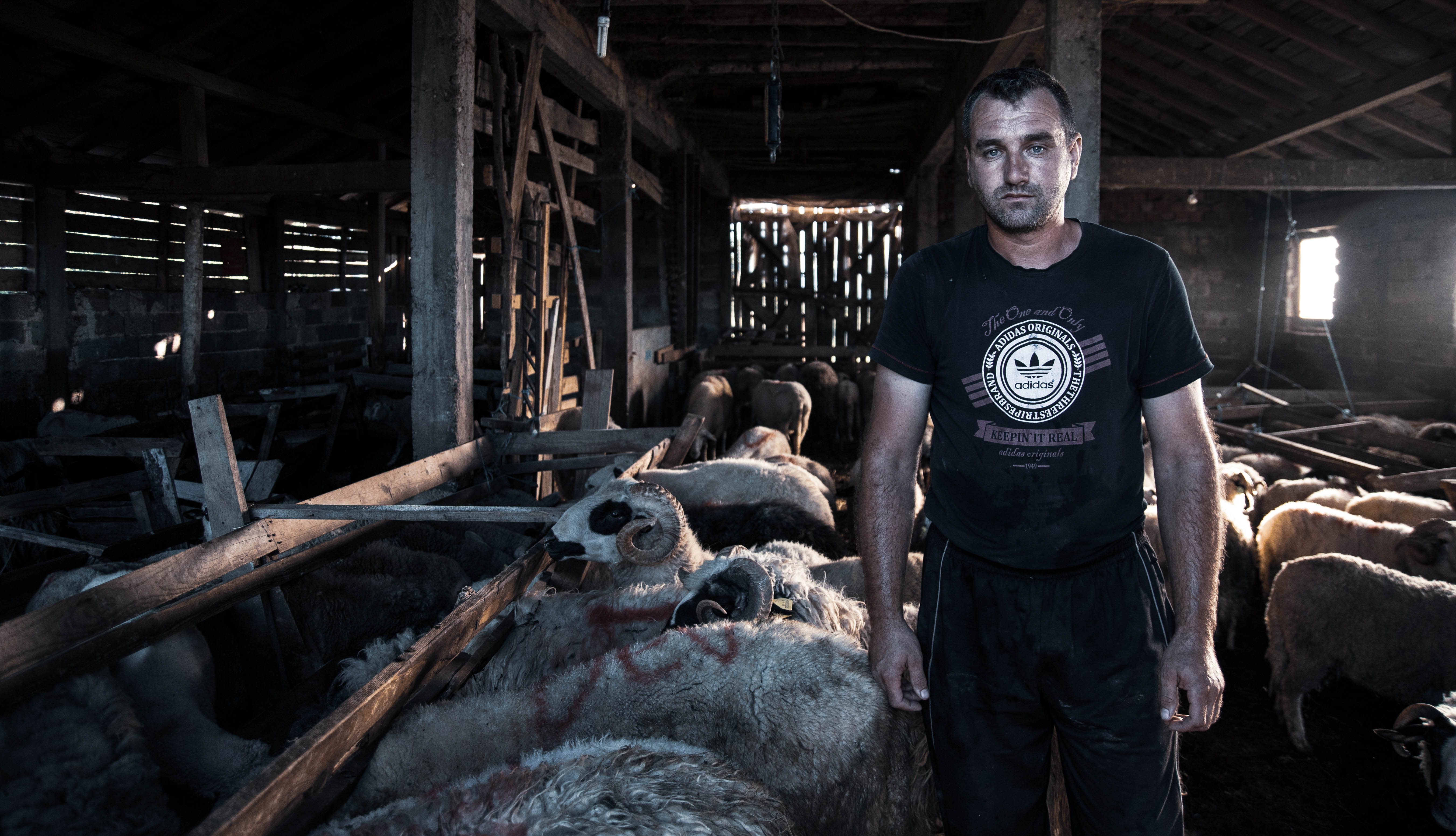 20200730_2_43678732_57076007