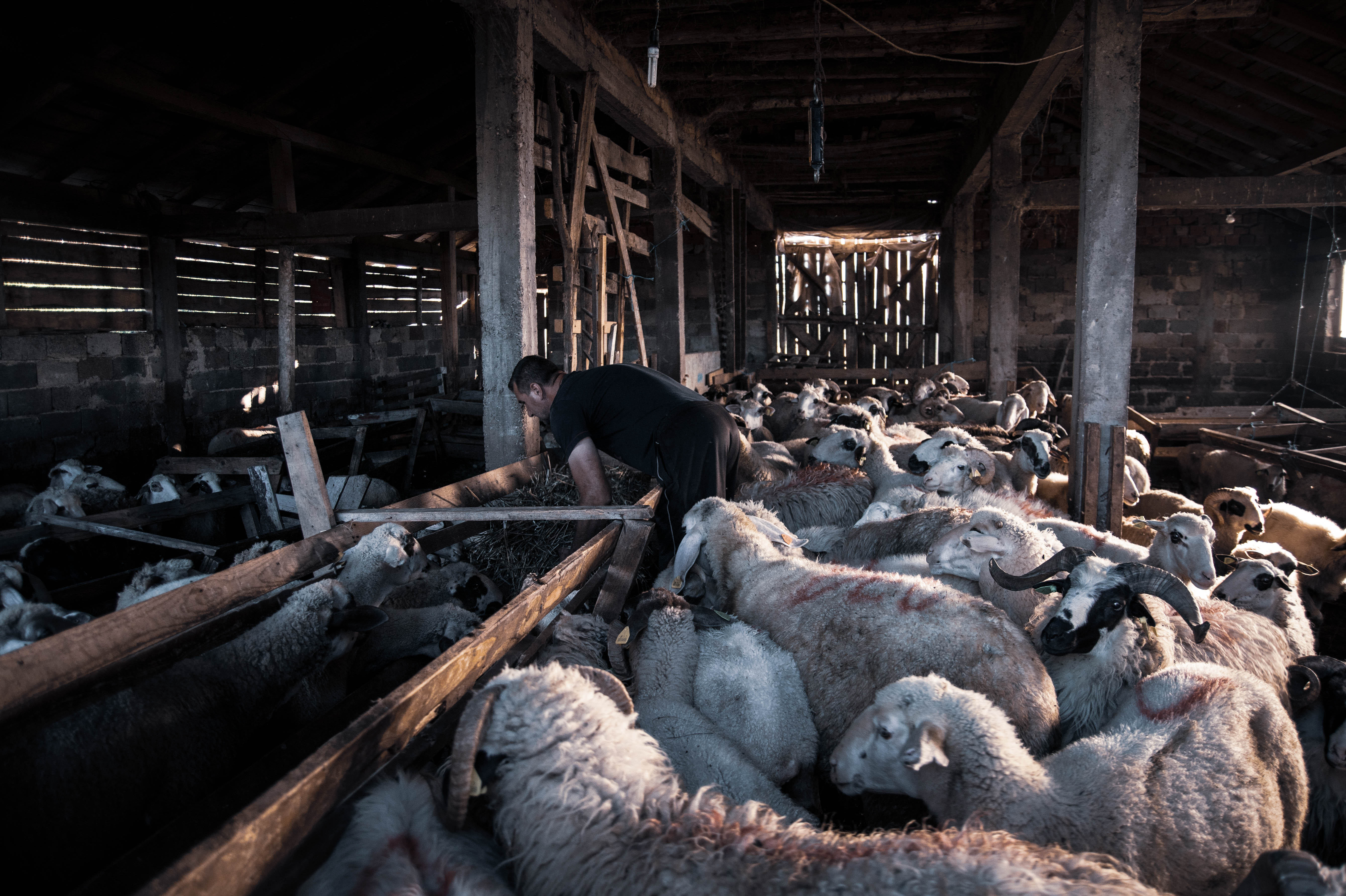 20200730_2_43678732_57076009