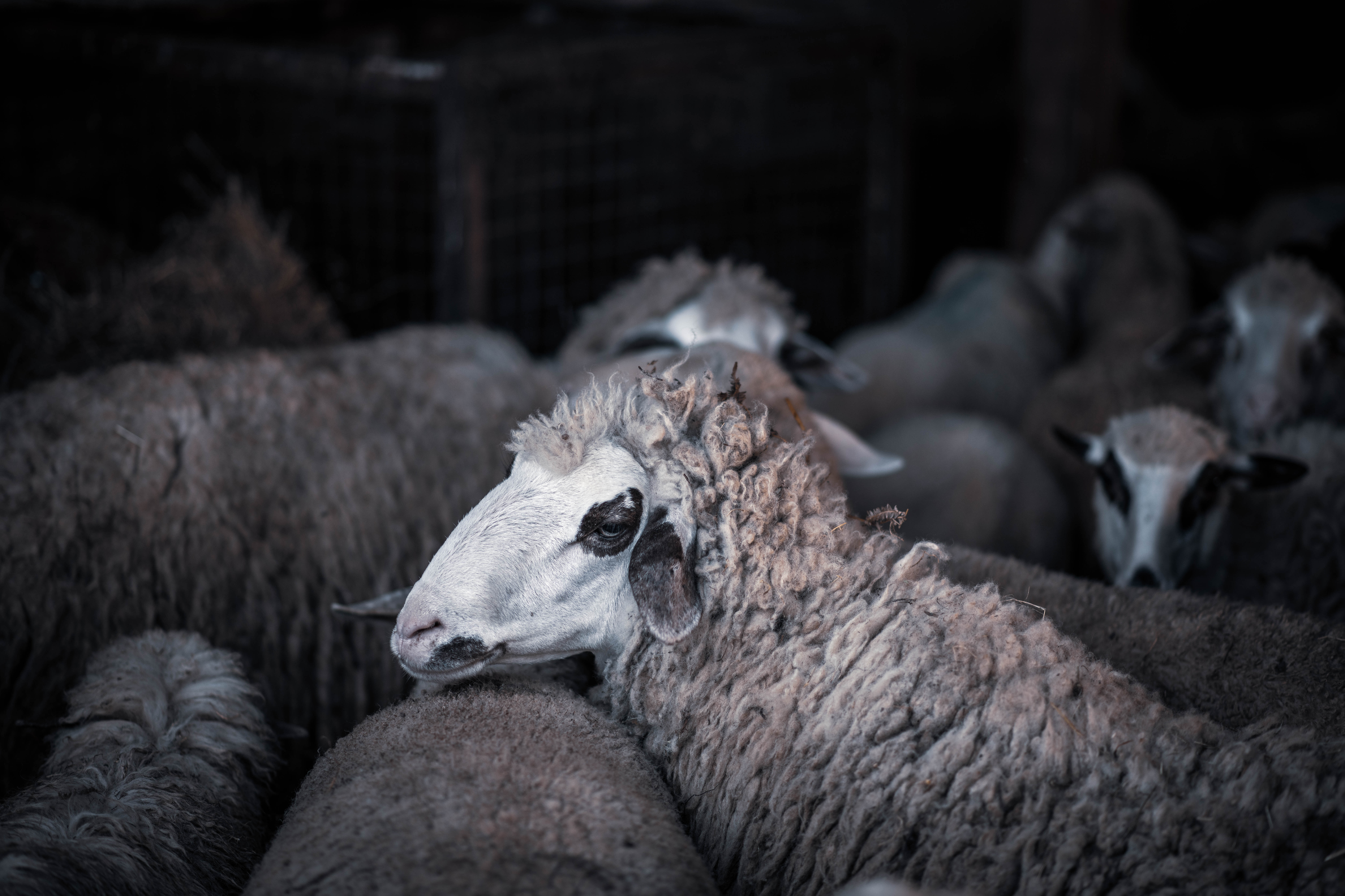 20200730_2_43678732_57076011