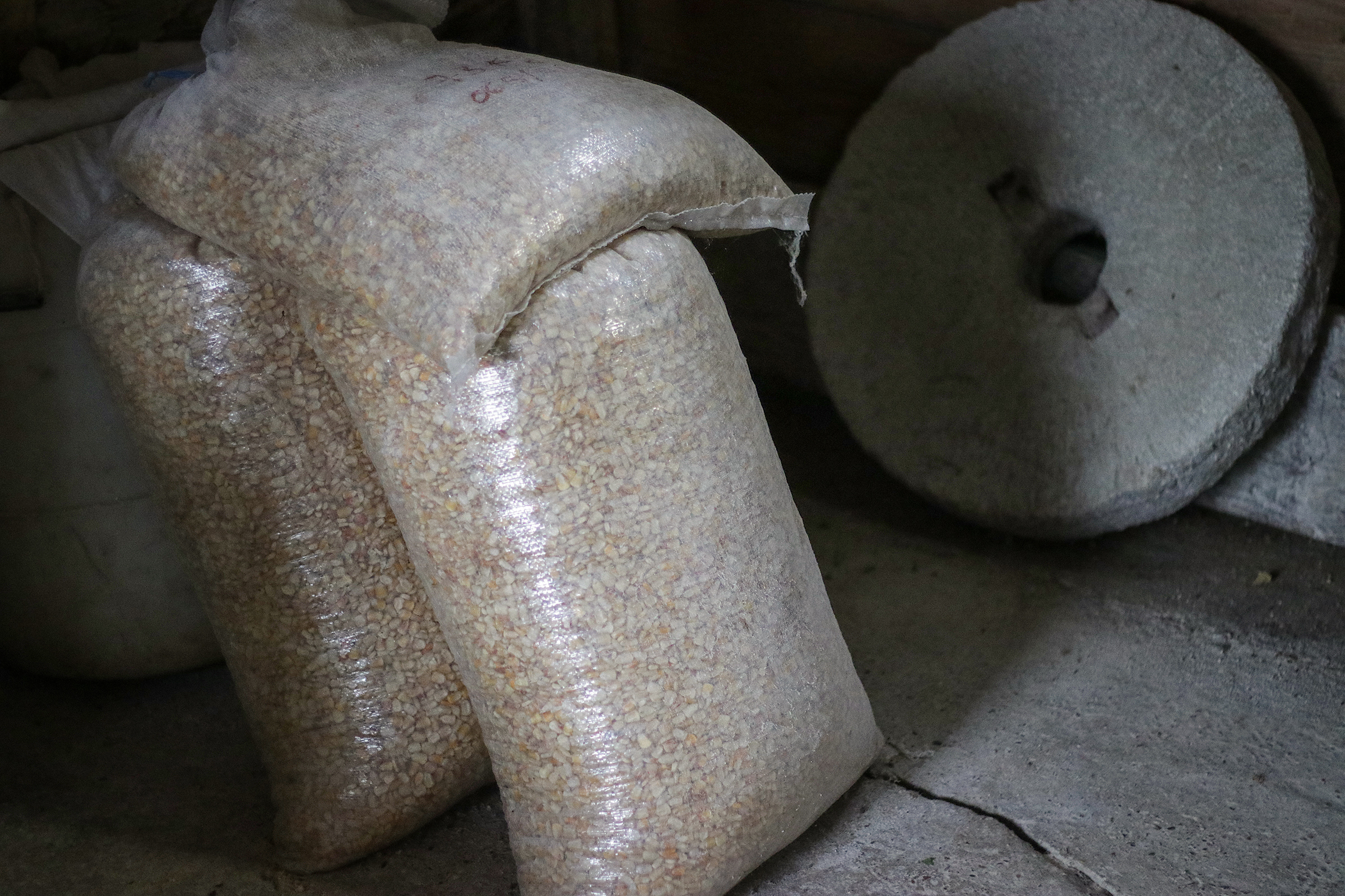 20200809_2_43810983_57311625