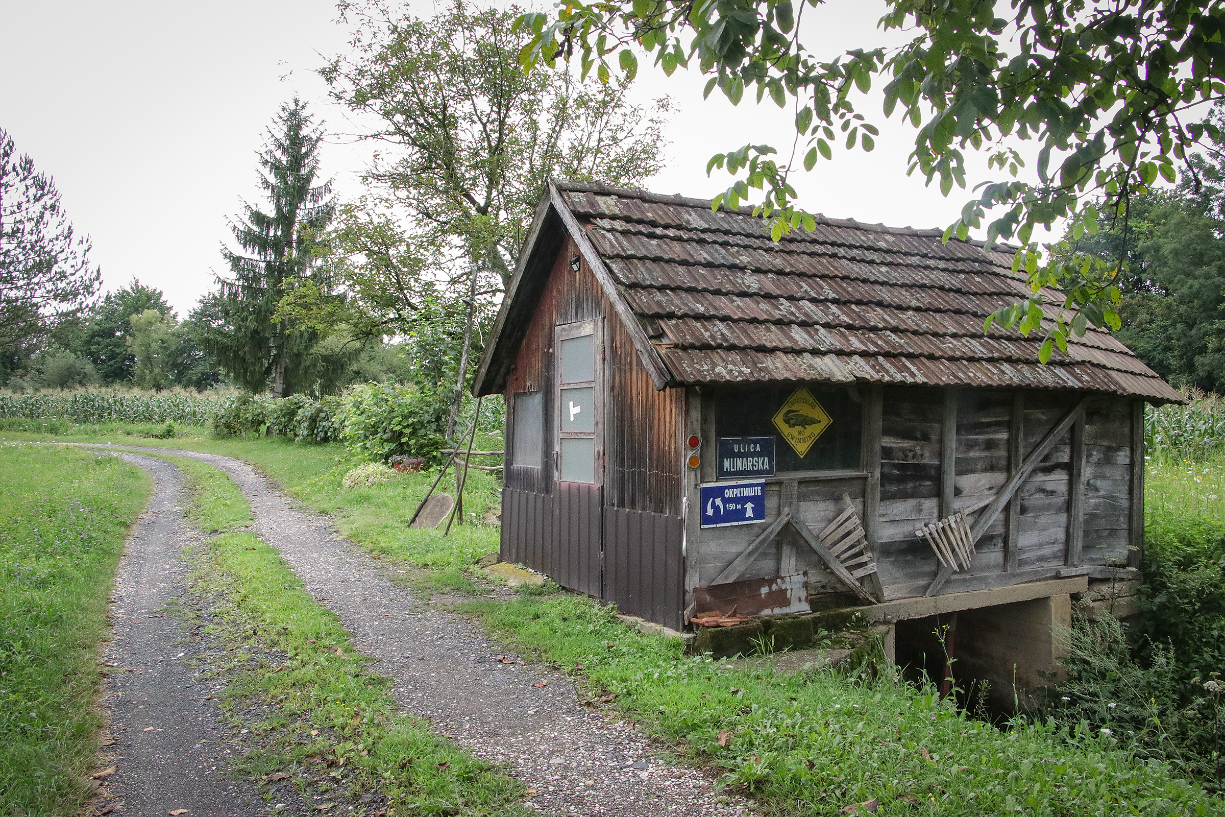 20200809_2_43810983_57311626