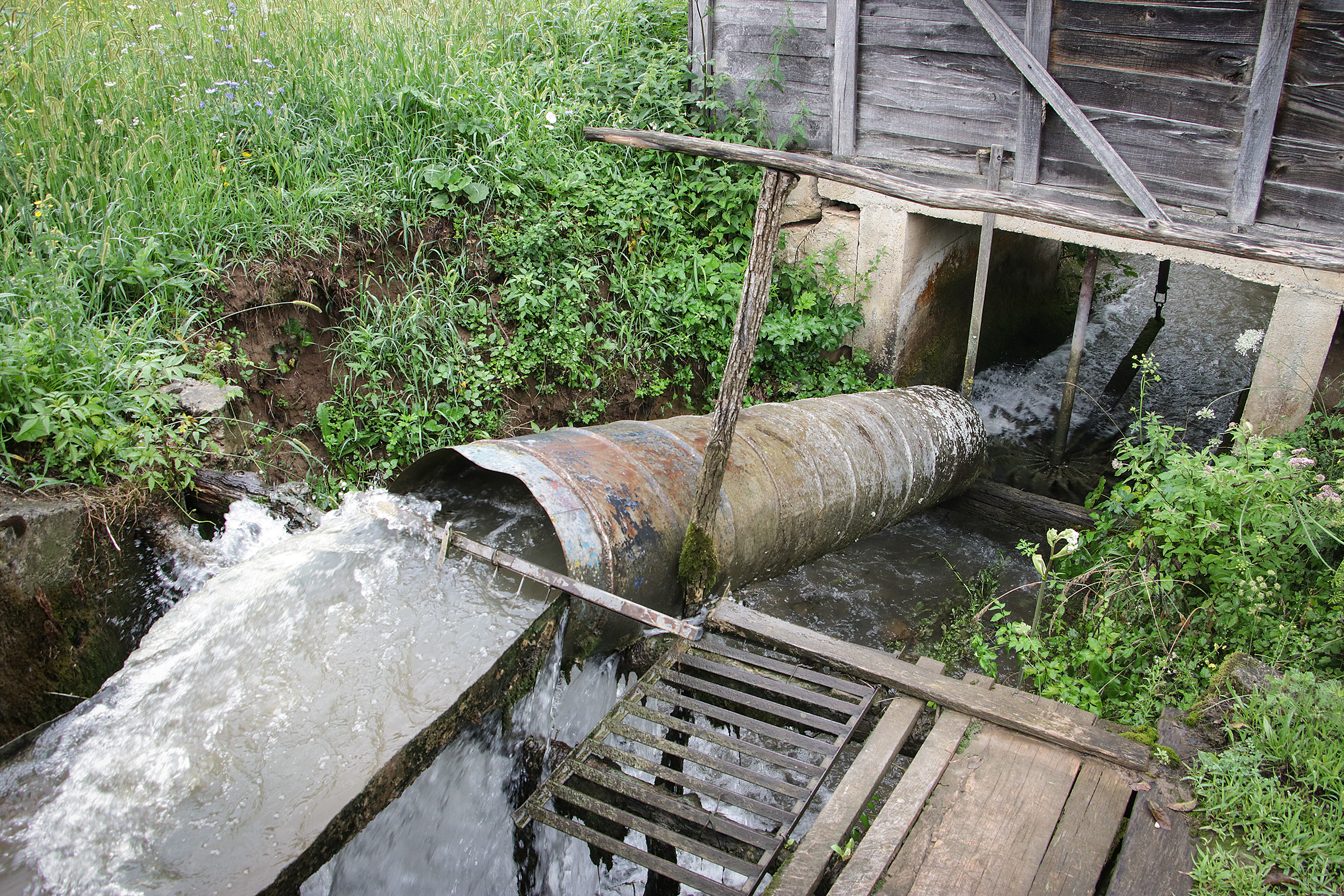 20200809_2_43810983_57311627