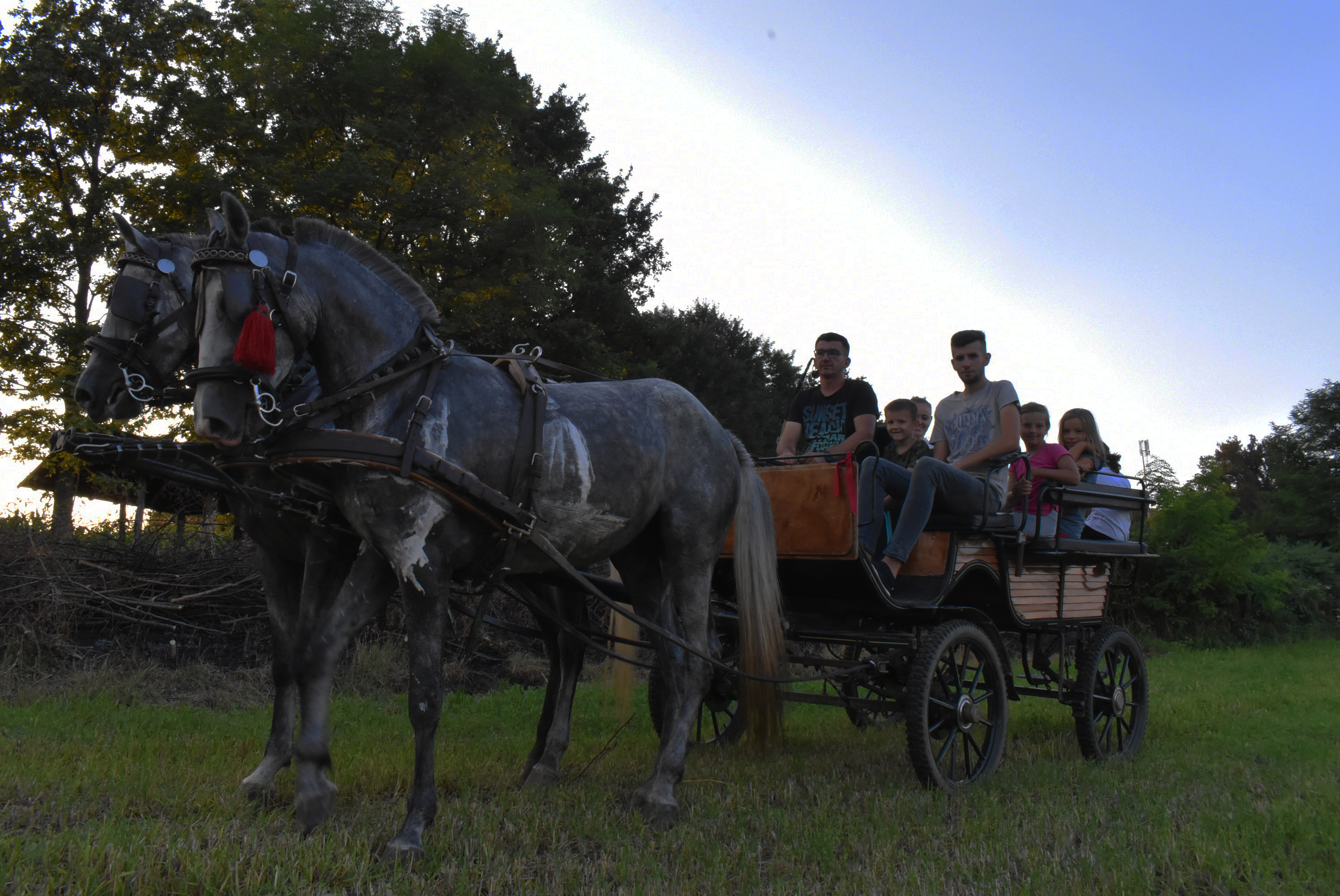 20200816_2_43910345_57453310