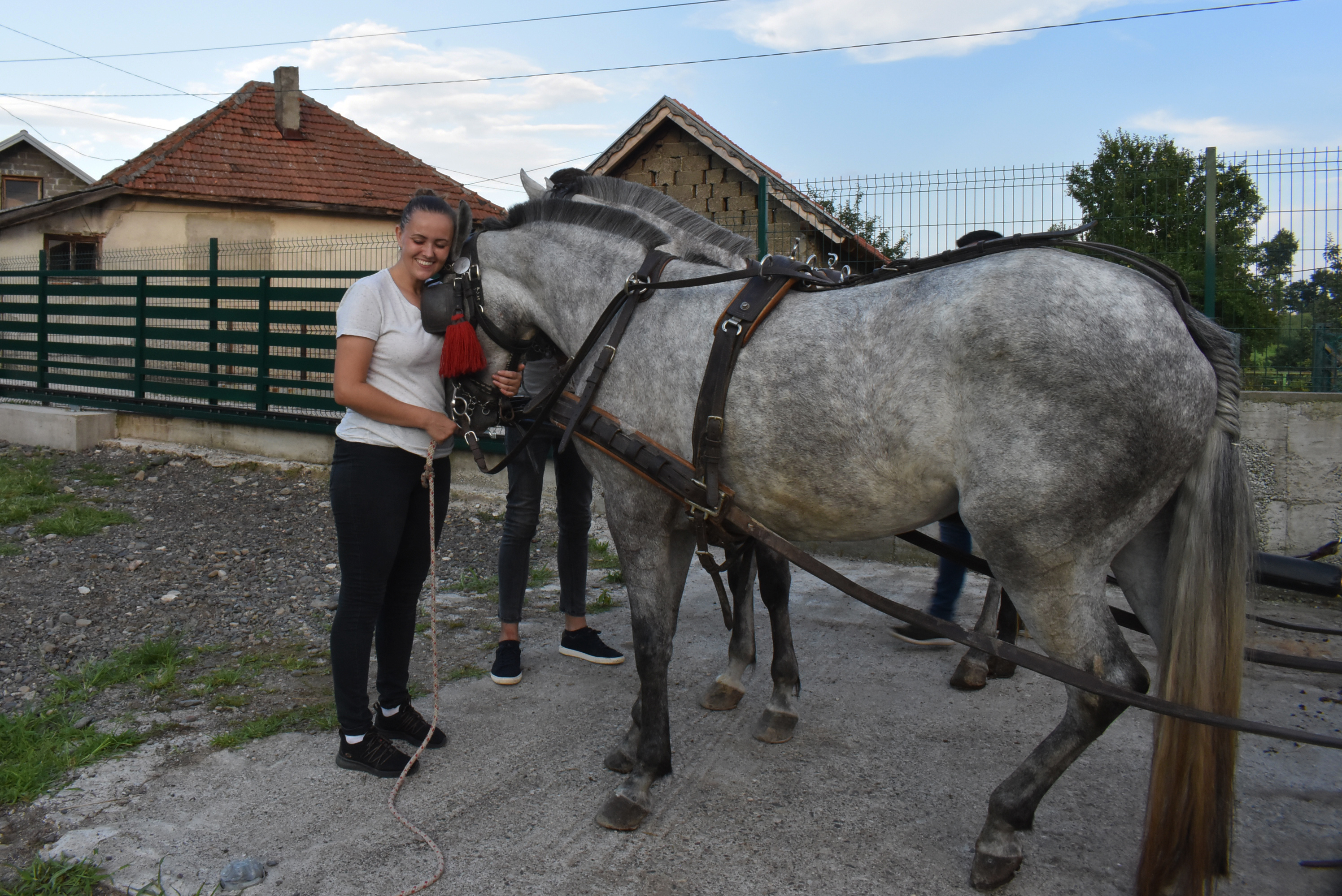 20200816_2_43910345_57453311