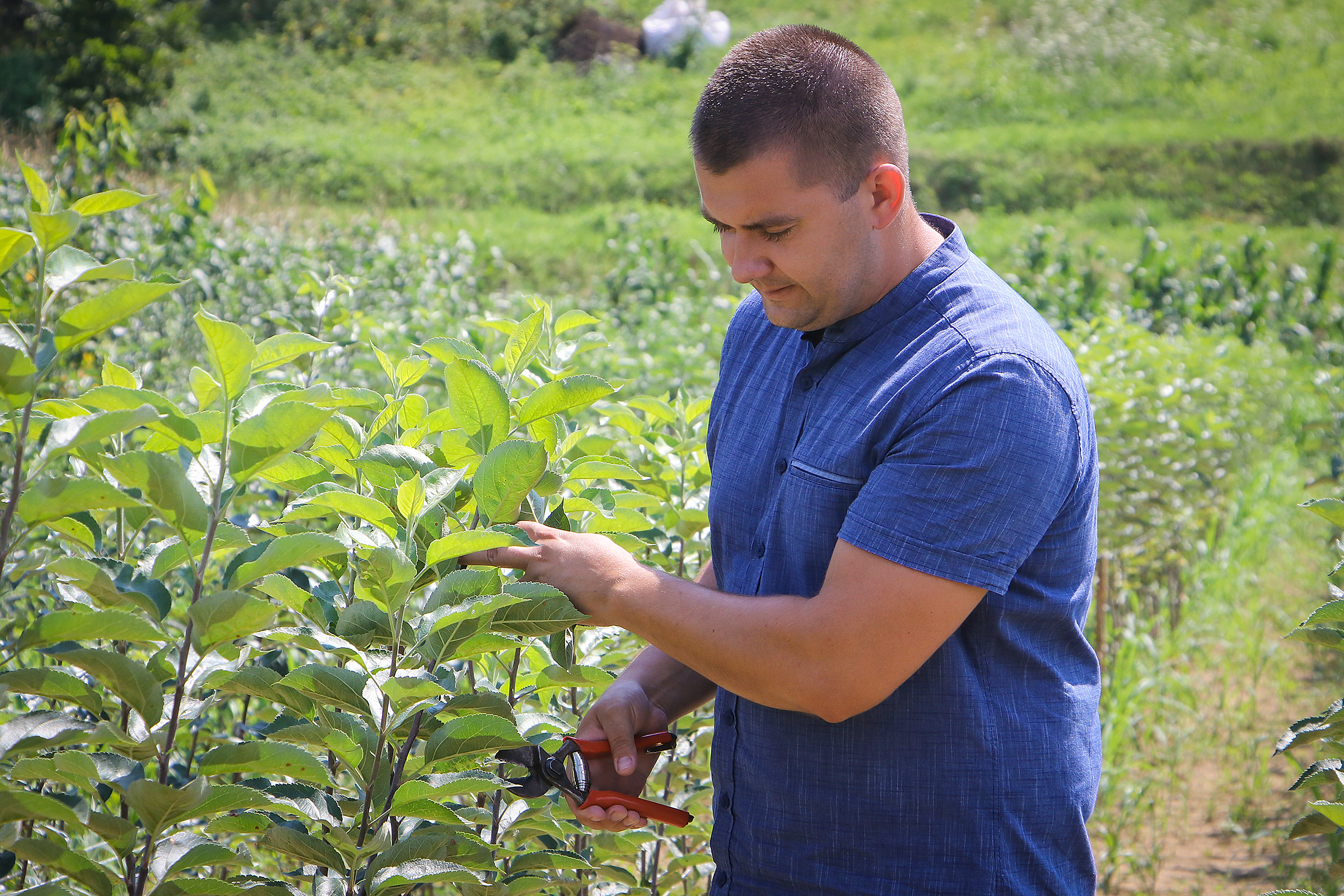 20200816_2_43915214_57461551