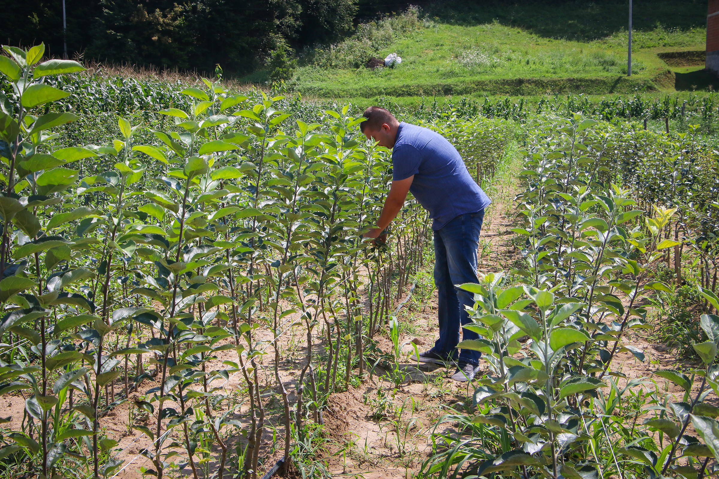 20200816_2_43915214_57461553