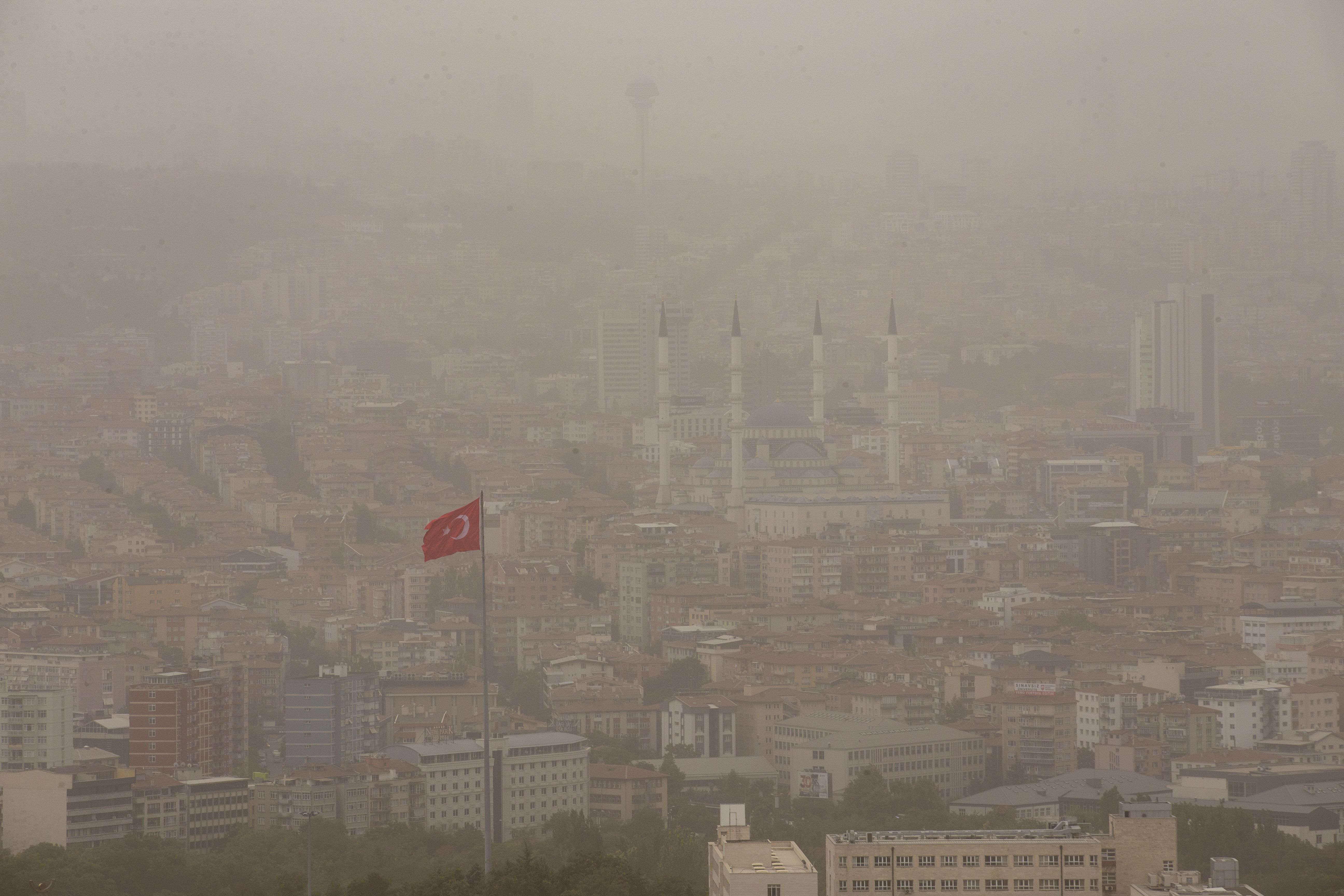 20200912_2_44323838_58087470