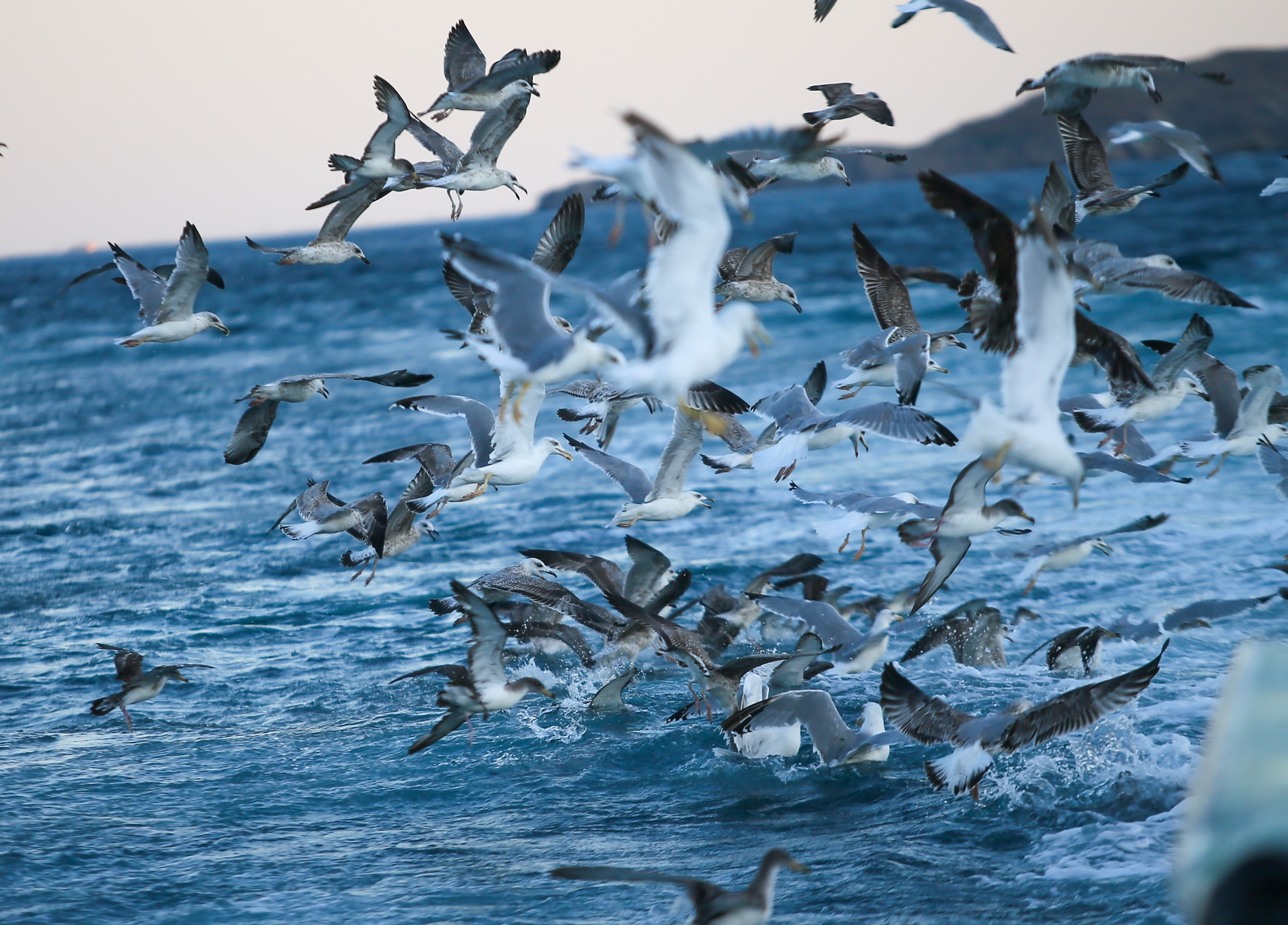 20200913_2_44328584_58096440