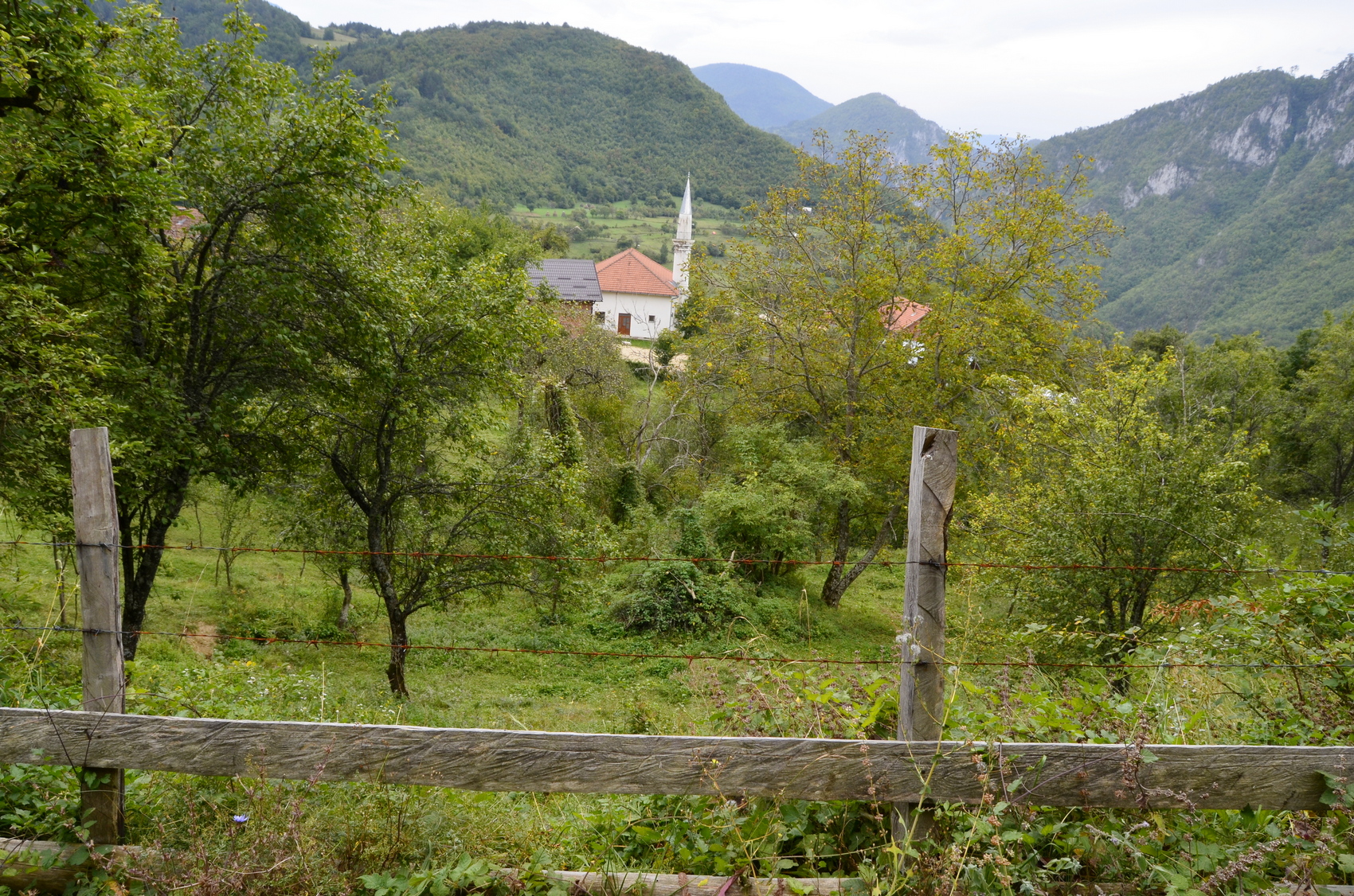 20200926_2_44536328_58422669