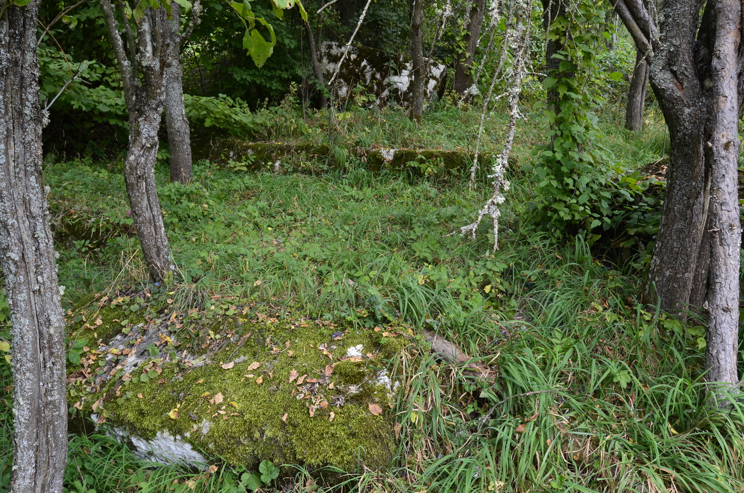 20200926_2_44536328_58422670