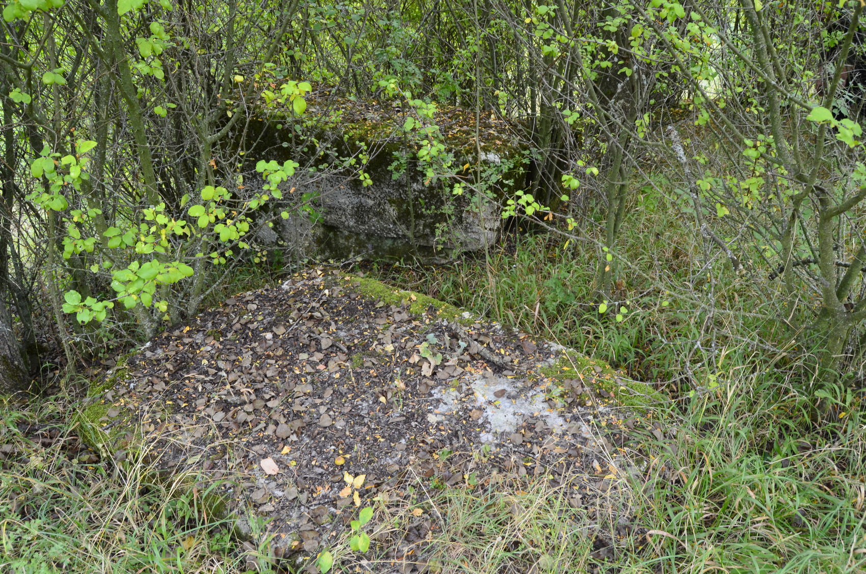 20200926_2_44536328_58422671