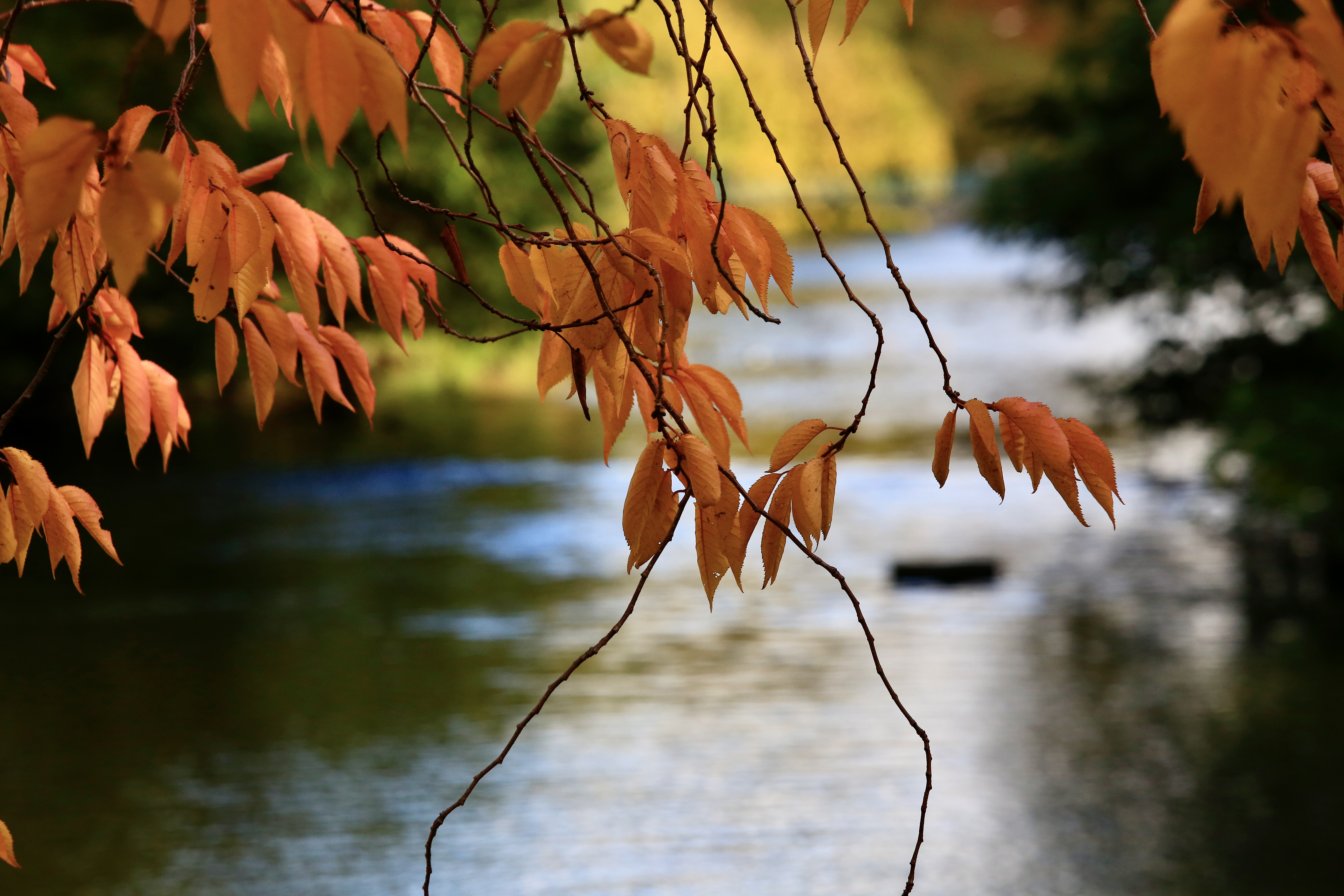 20201022_2_44970116_59113469