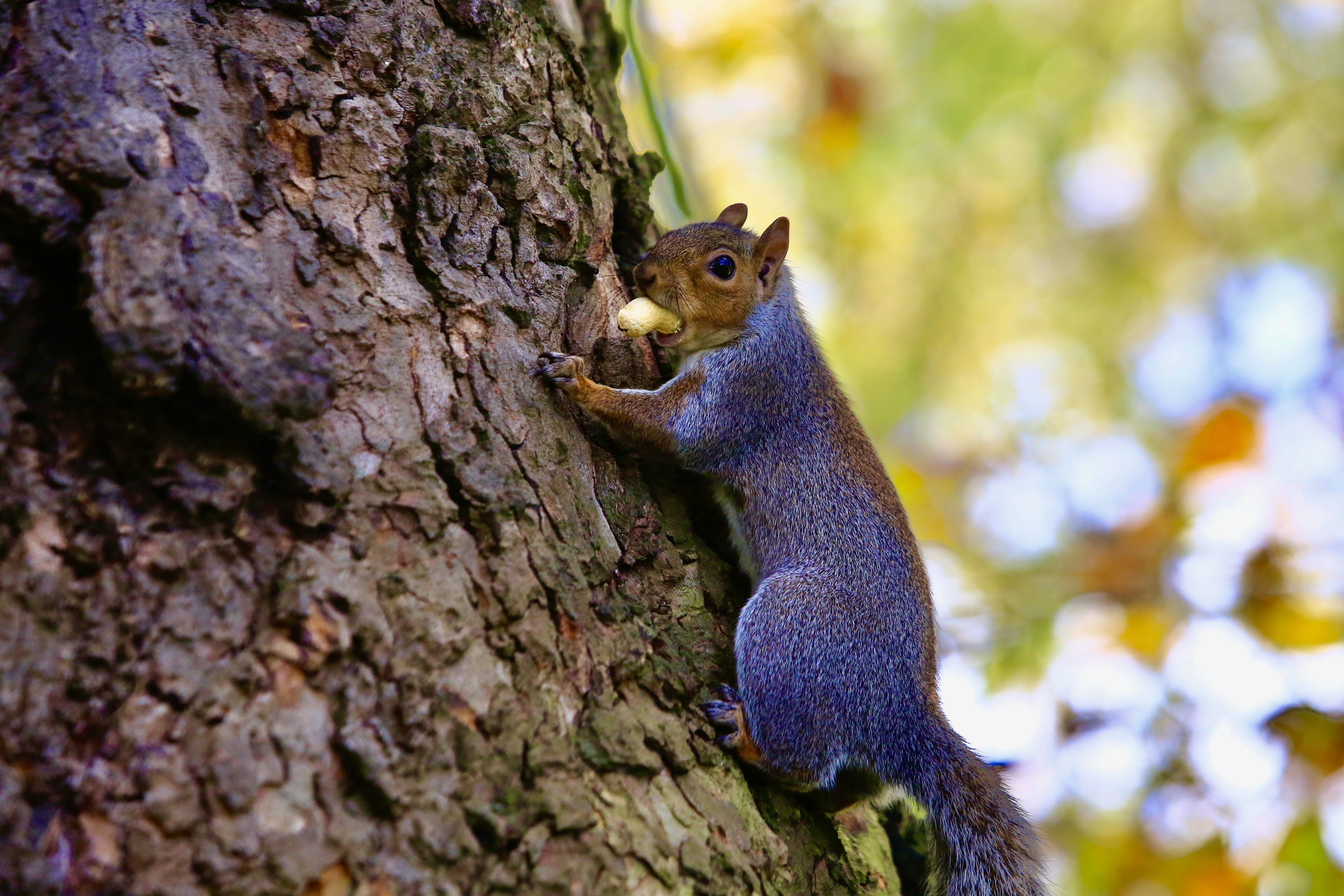 20201022_2_44970116_59113478