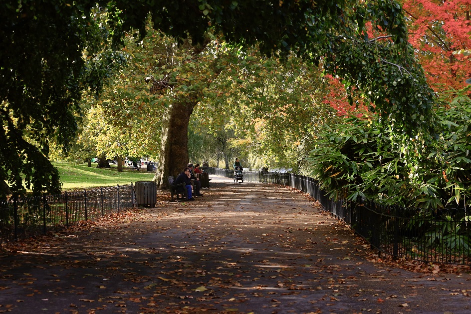 20201022_2_44970116_59113494