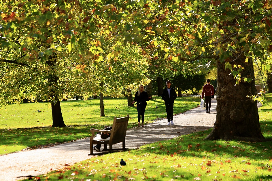 20201022_2_44970116_59113497