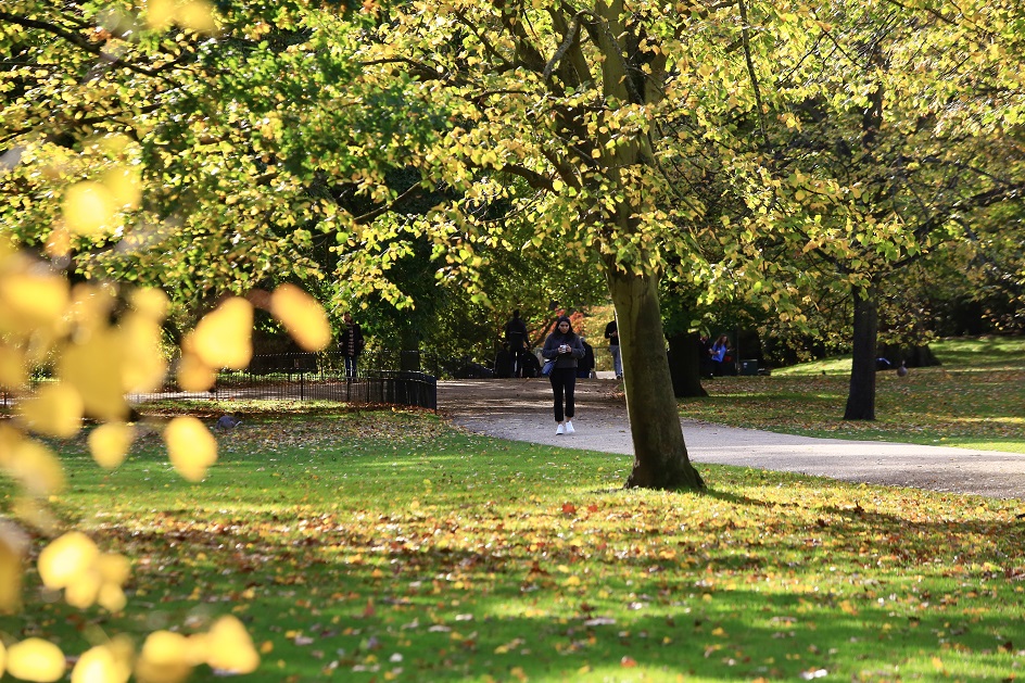 20201022_2_44970116_59113501