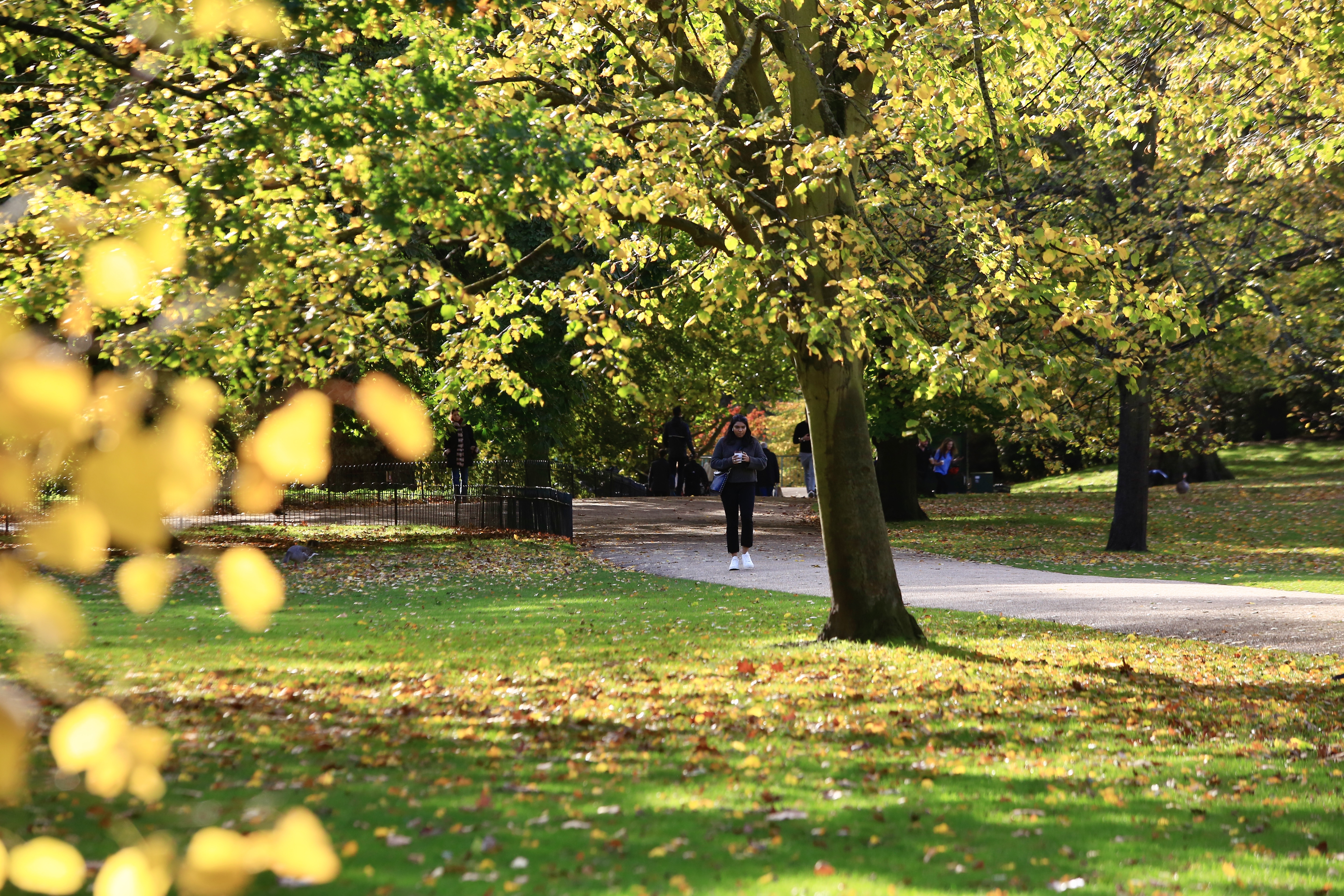 20201022_2_44970116_59113501