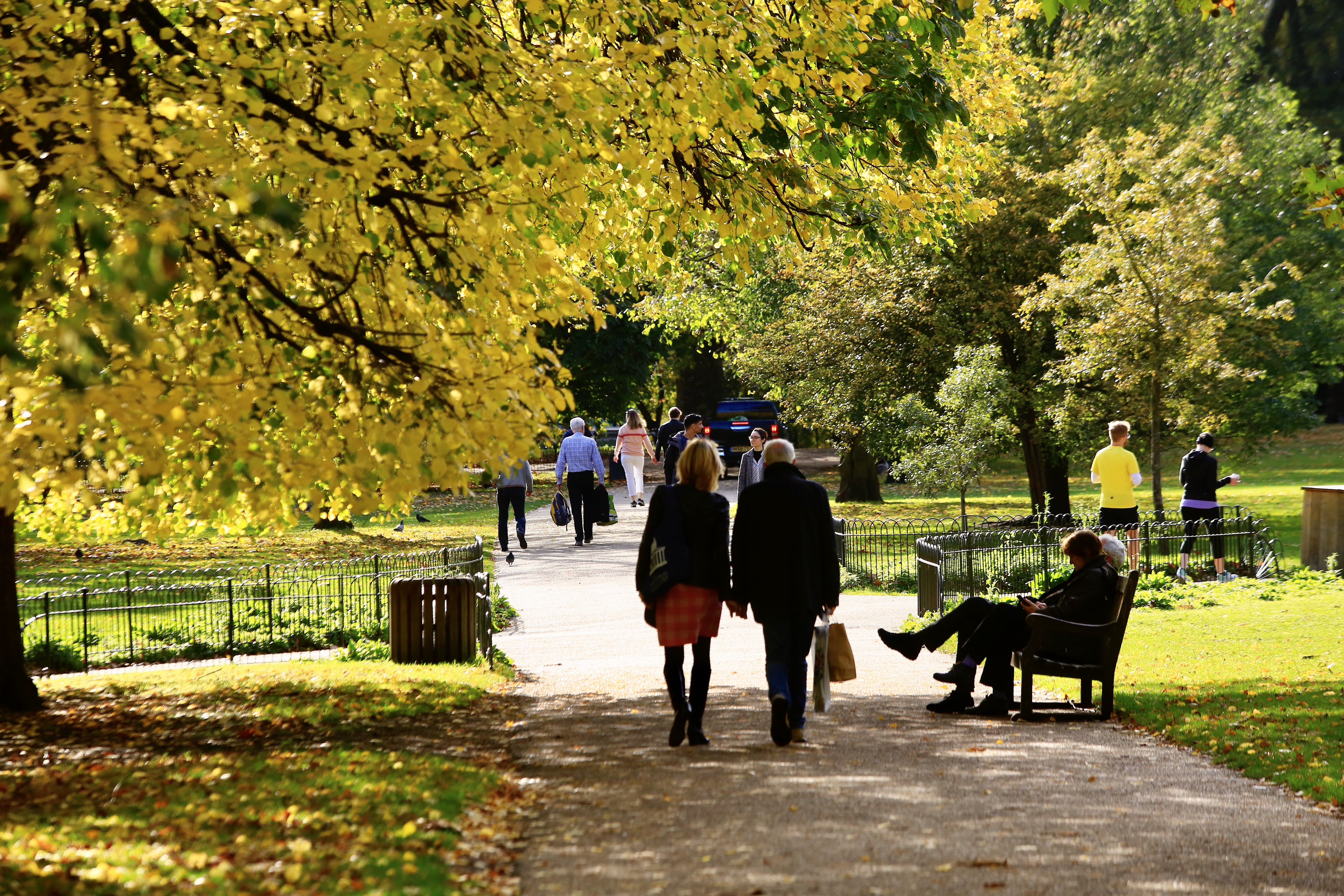 20201022_2_44970116_59113502