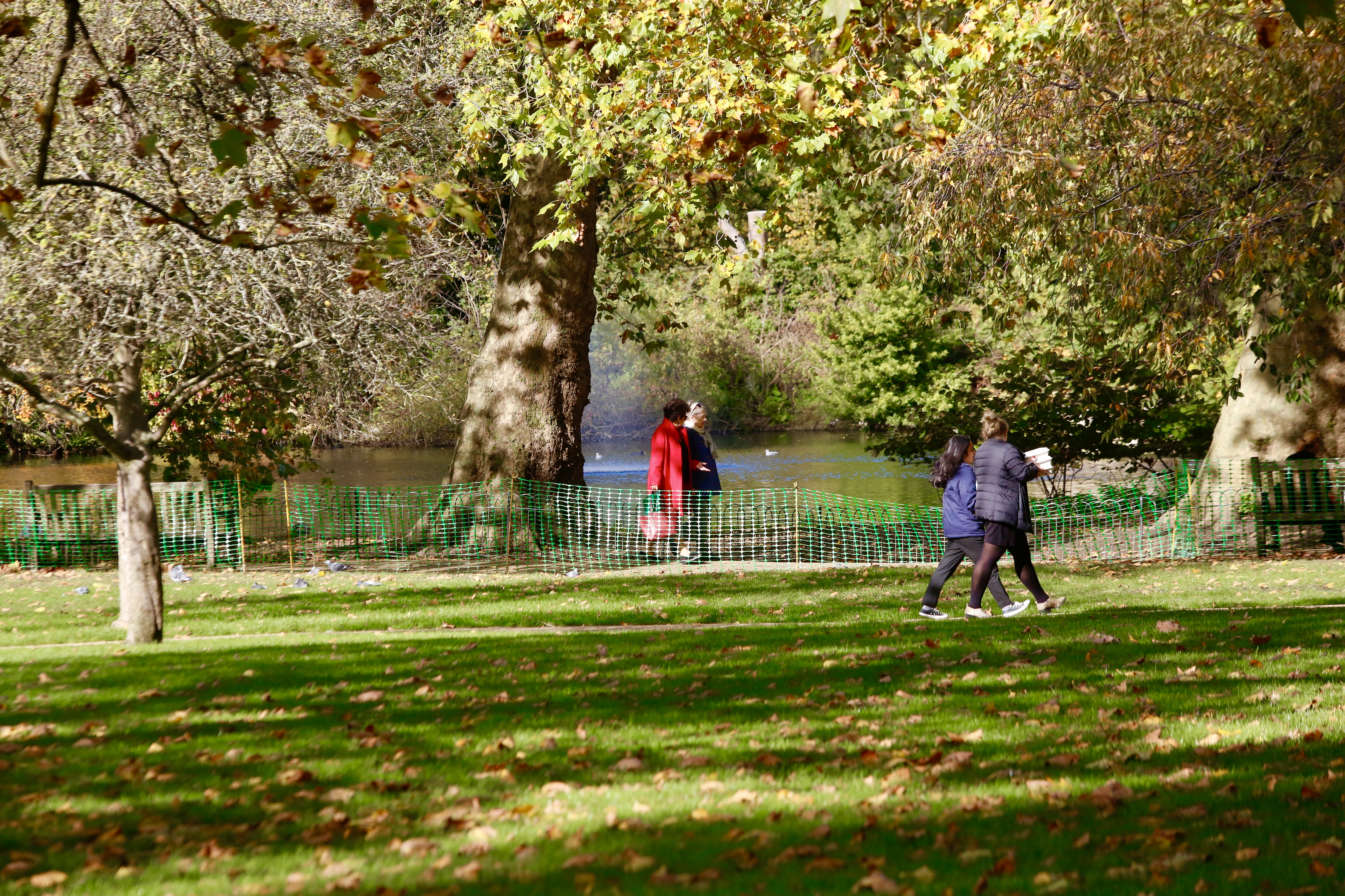 20201022_2_44970116_59113503