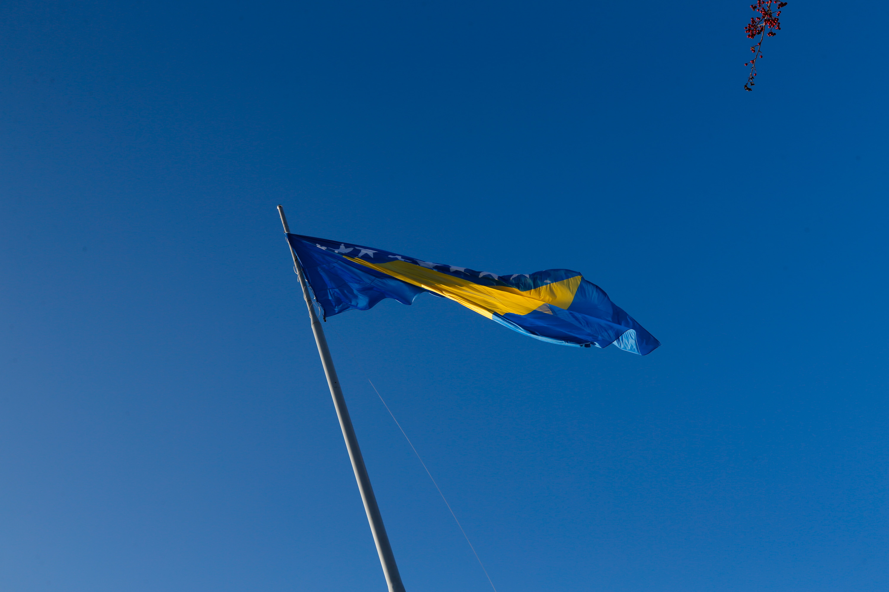 20201125_2_45533646_60048632