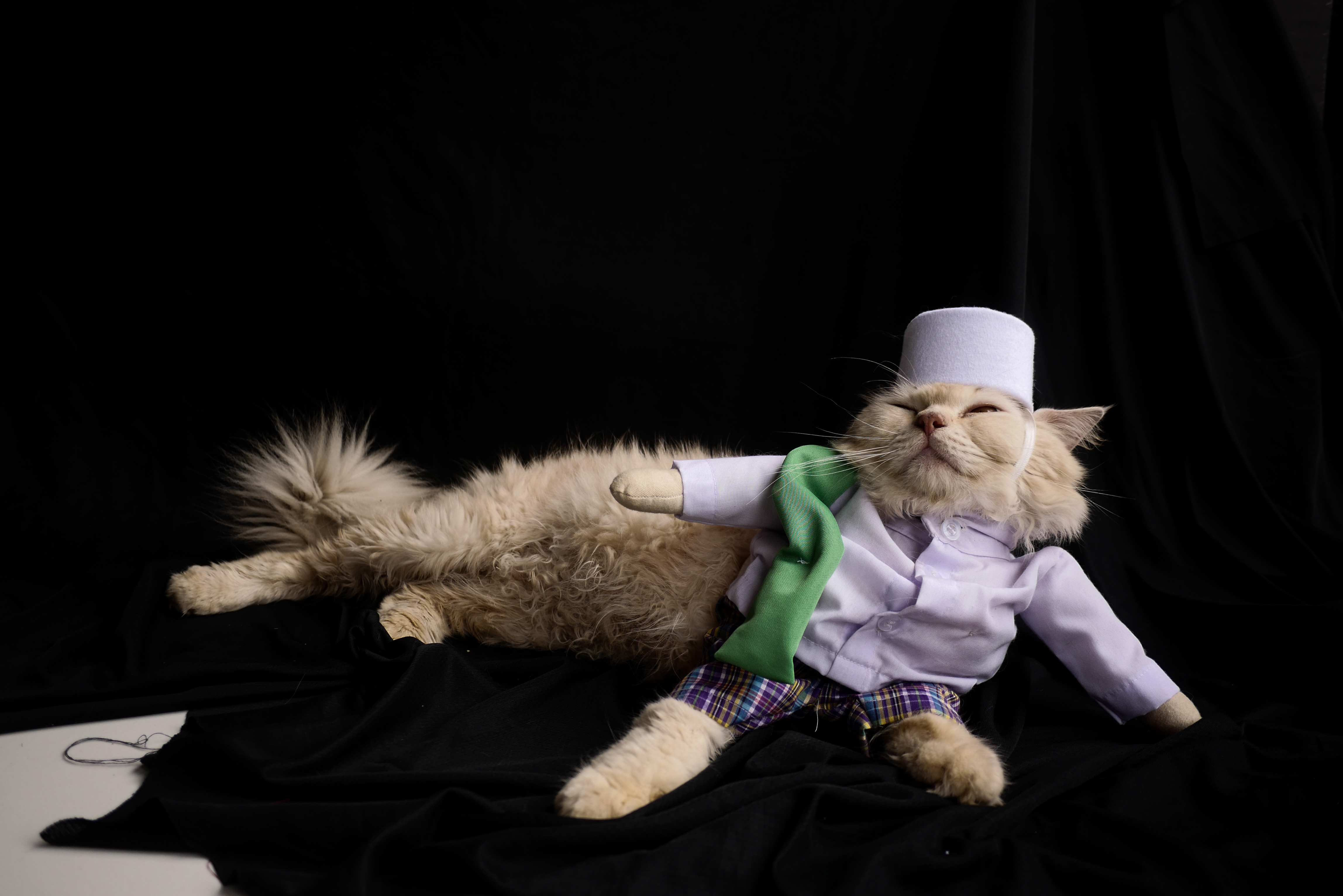 20201204_2_45694211_60326742