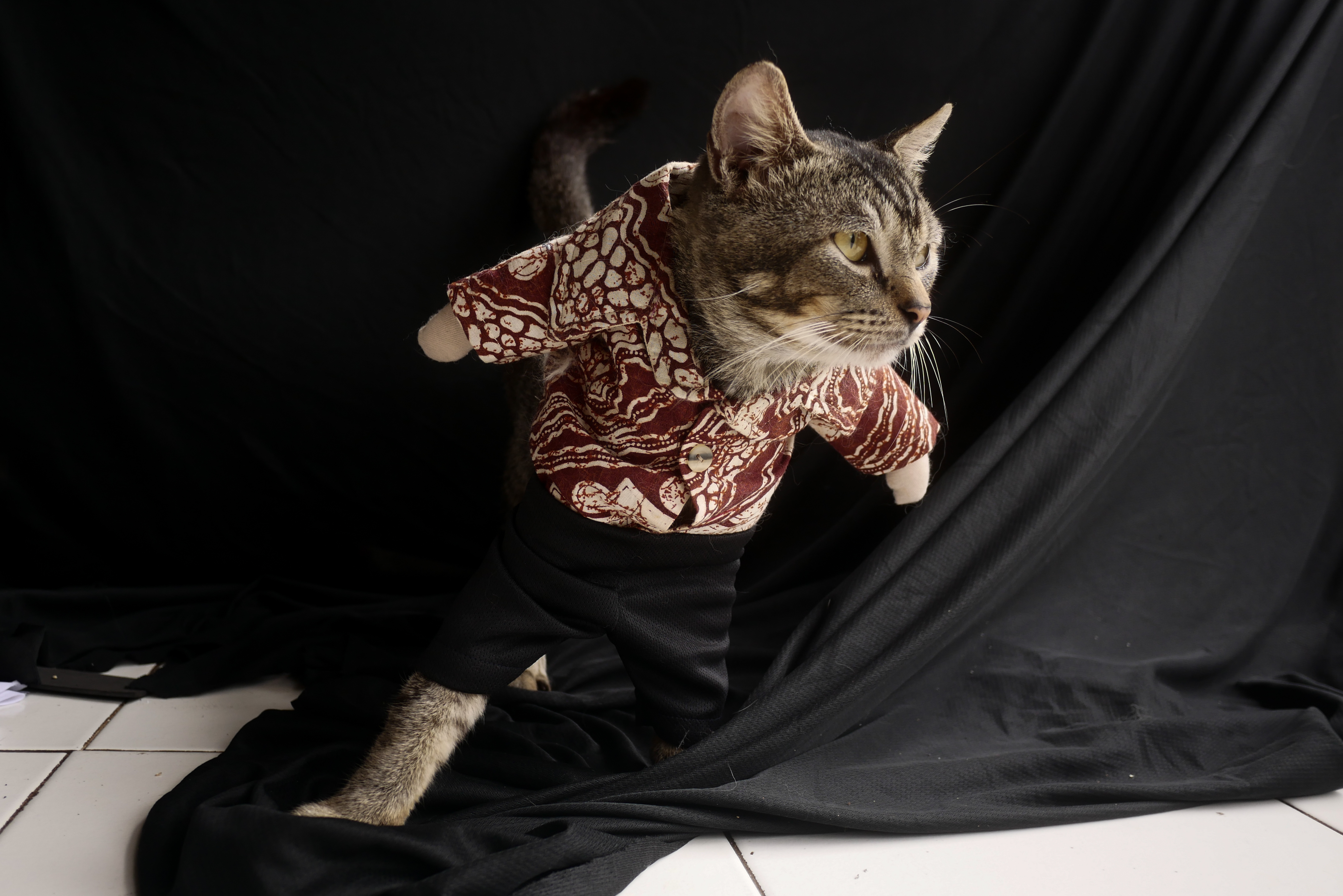 ANADOLIJA/Anton Raharjo