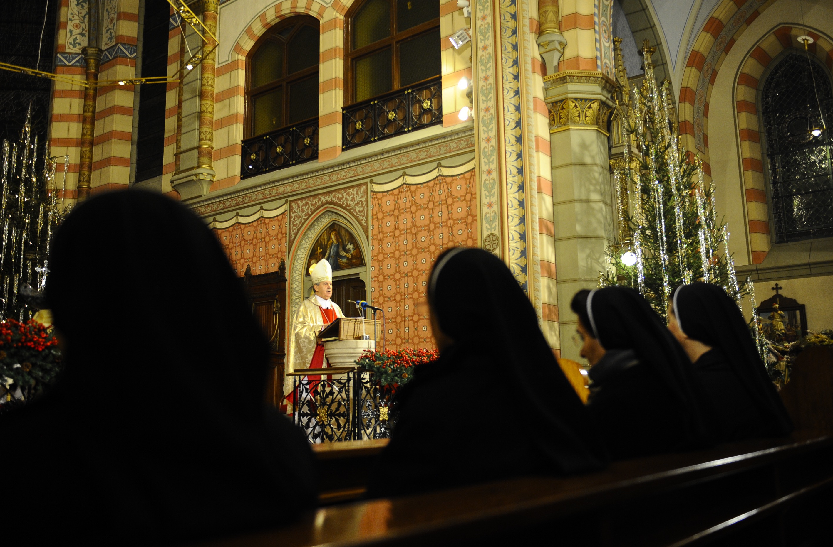 Anadolija/Samır Jordamovıc