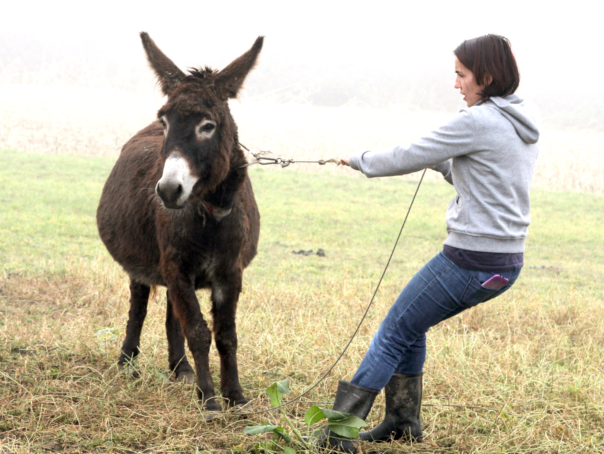 20201226_2_46049345_60987111