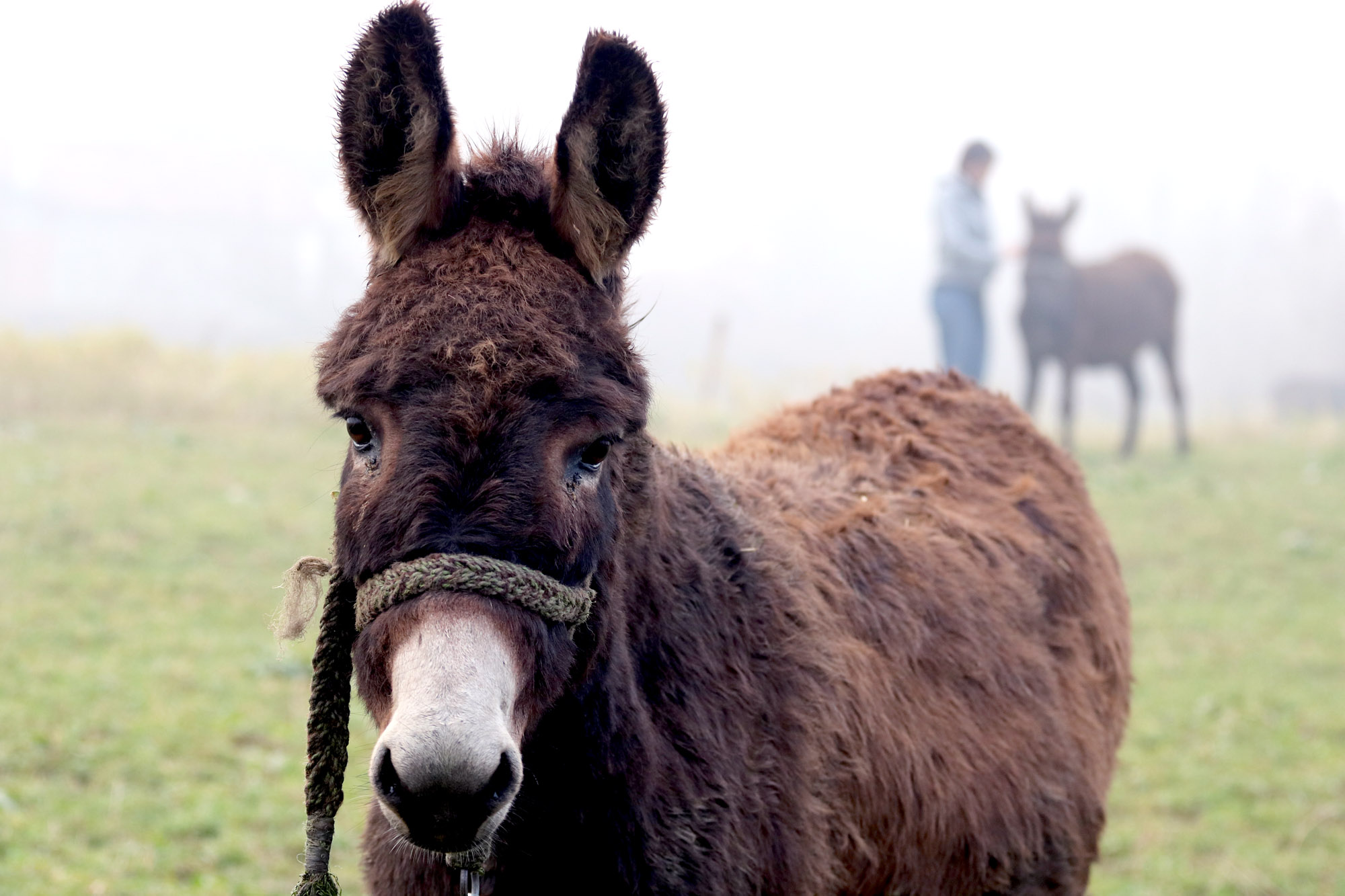 20201226_2_46049345_60987122