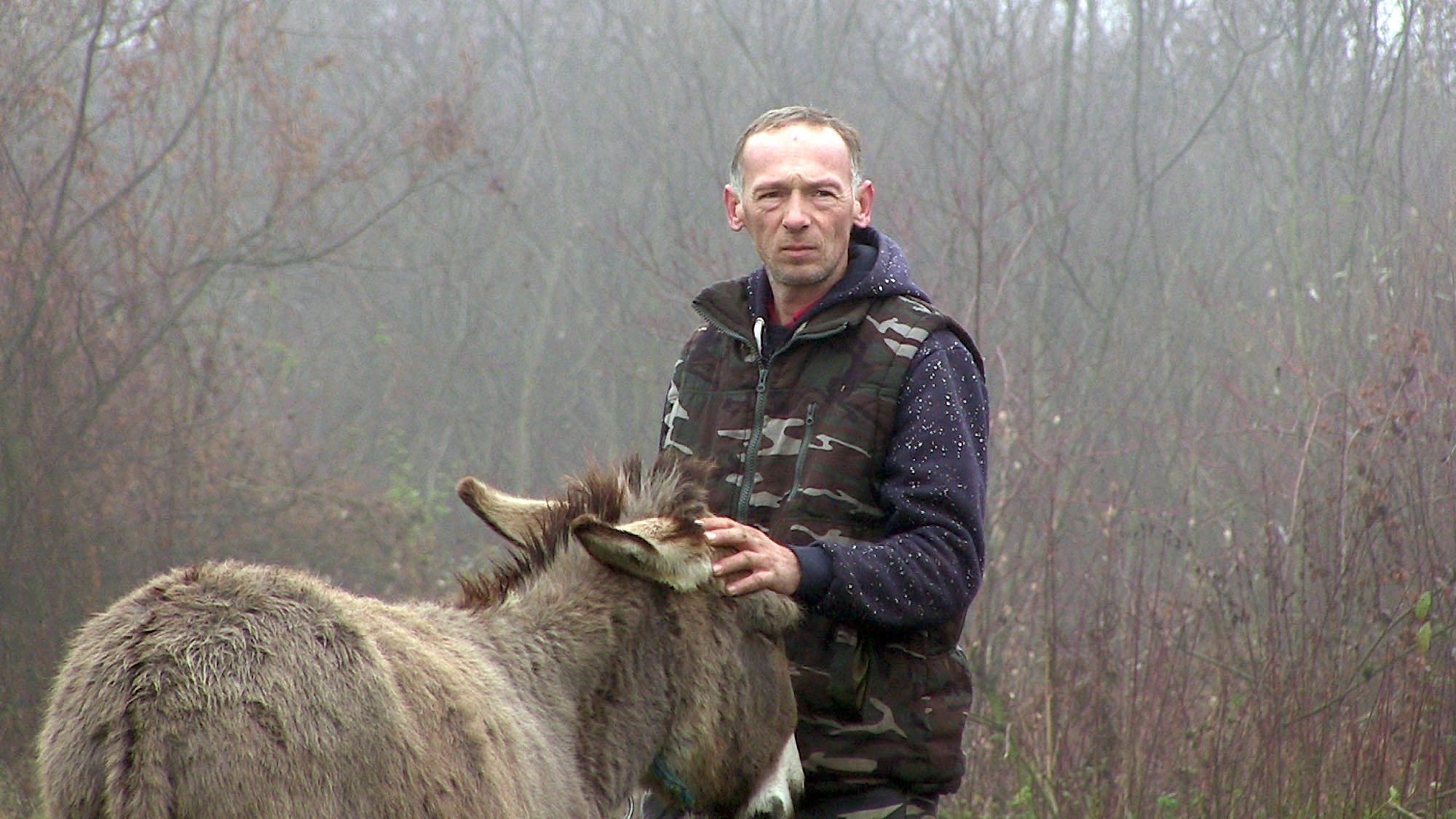 20201226_2_46049345_60987123