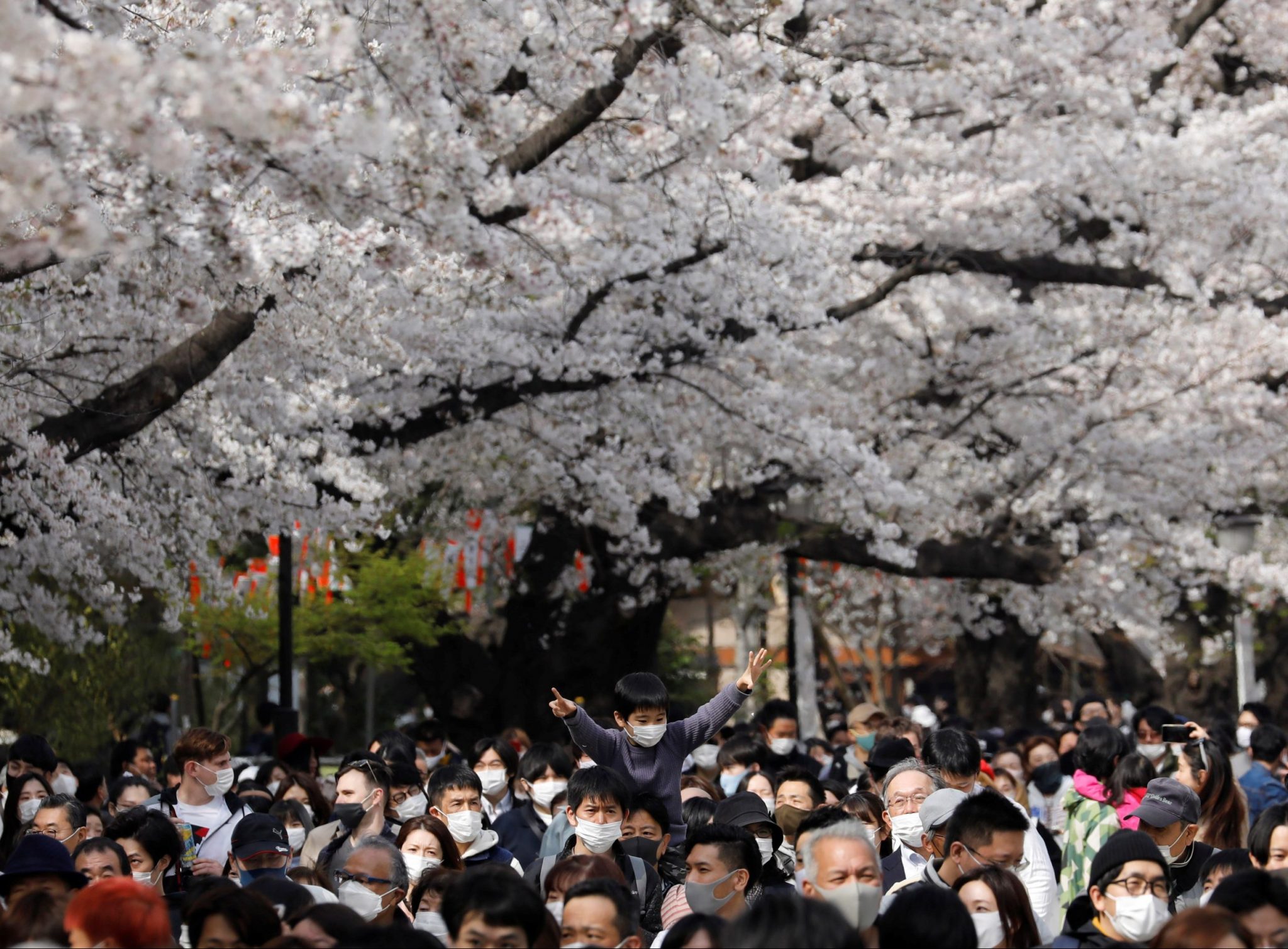 2021-03-27T103637Z_771680352_RC2MJM9DRR0S_RTRMADP_3_SPRING-CHERRYBLOSSOMS-JAPAN-scaled-e1617175023315-2048x1510