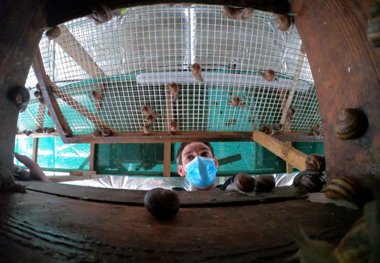 2021-05-17T152946Z_1691426227_RC2QDN92G3D0_RTRMADP_3_FRANCE-SNAILS-SOAP-750x520