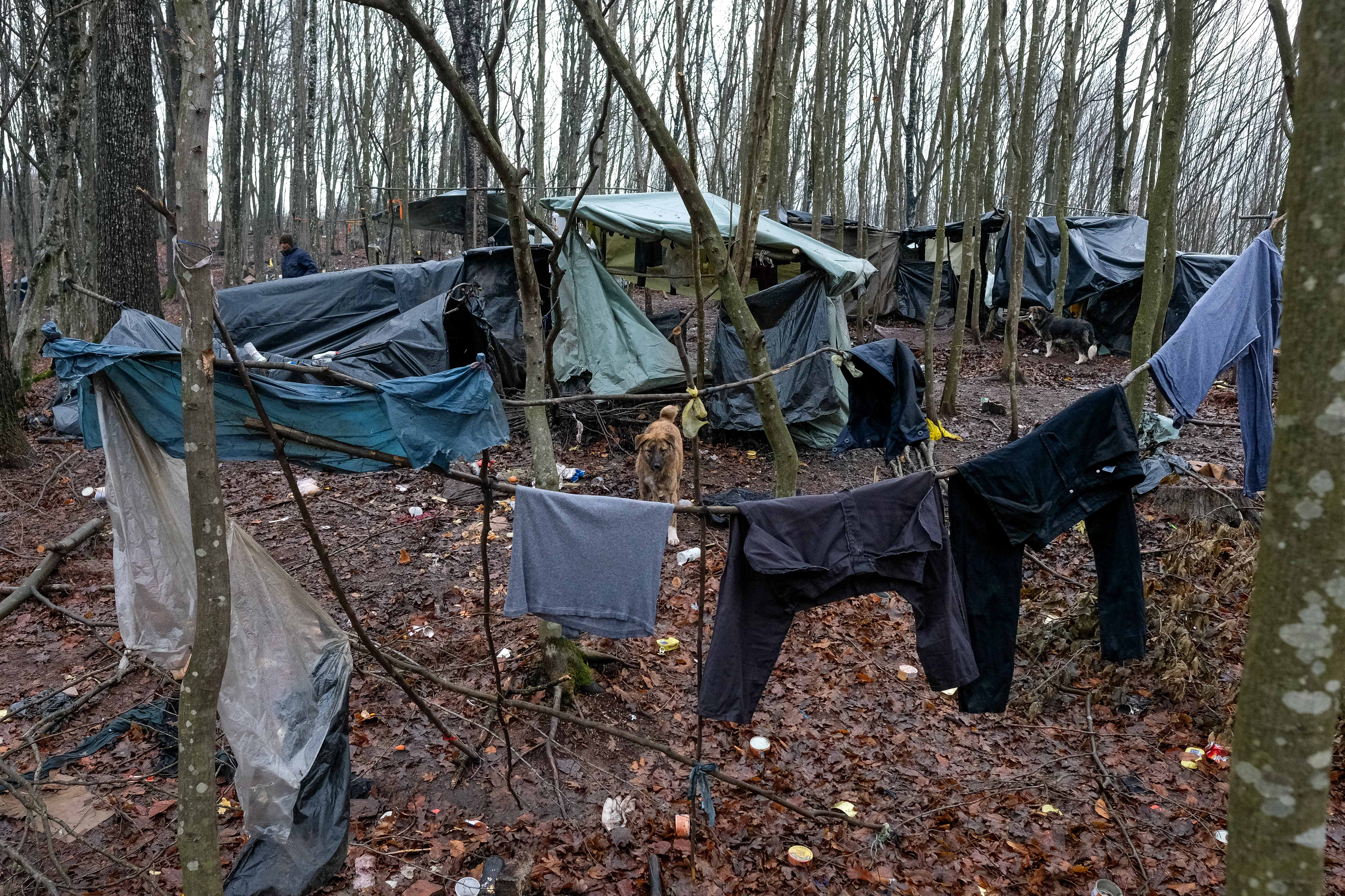 BiH: Migranti u kampu kod Velike Kladuše borave u izuzetno teškim uslovima
