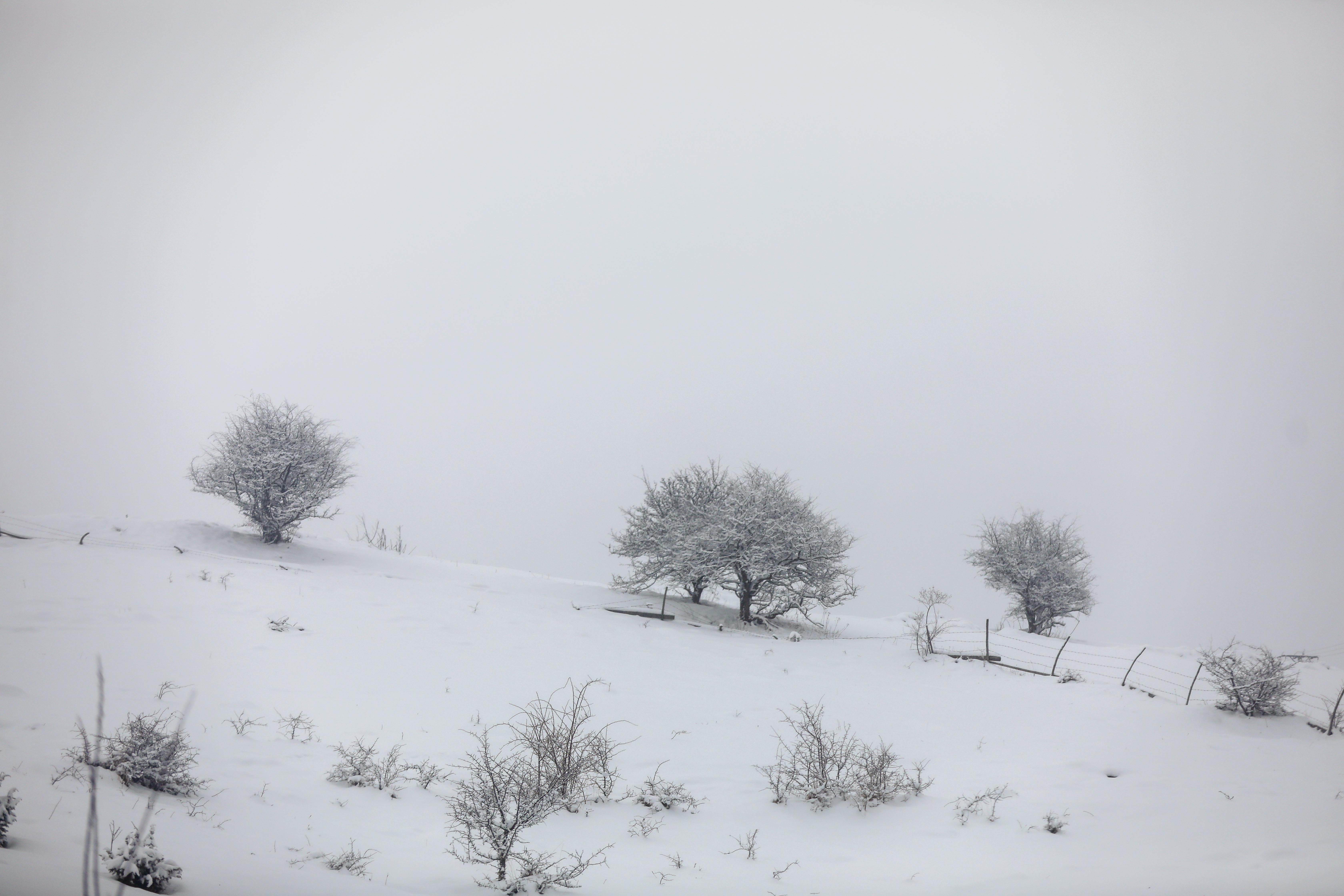 BiH: Formiran novi sniježni pokrivač, u nekim područjima najavljuje se i do 35 centimetara snijega