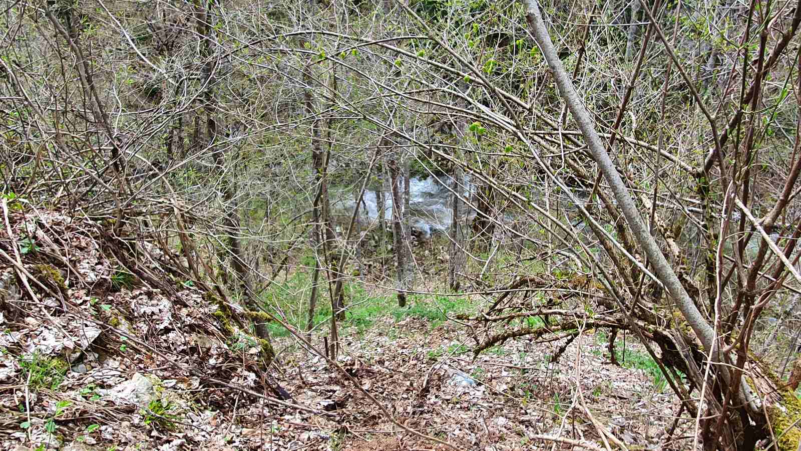 BiH: Na području Kalinovika pronađeni posmrtni ostaci najmanje jedne osobe