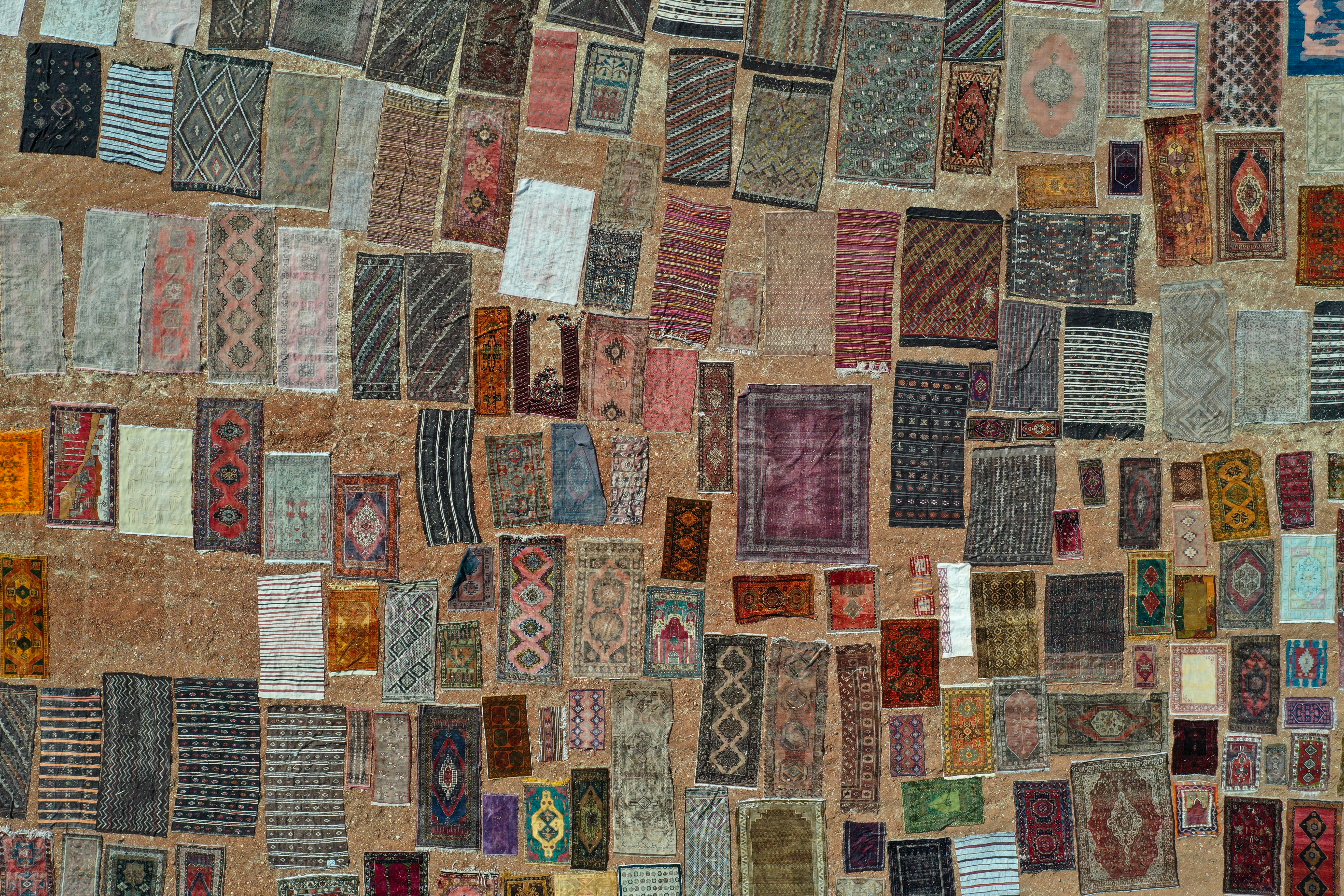 Turska: Predivni prizori šarolikih "polja ćilima" u Antaliji