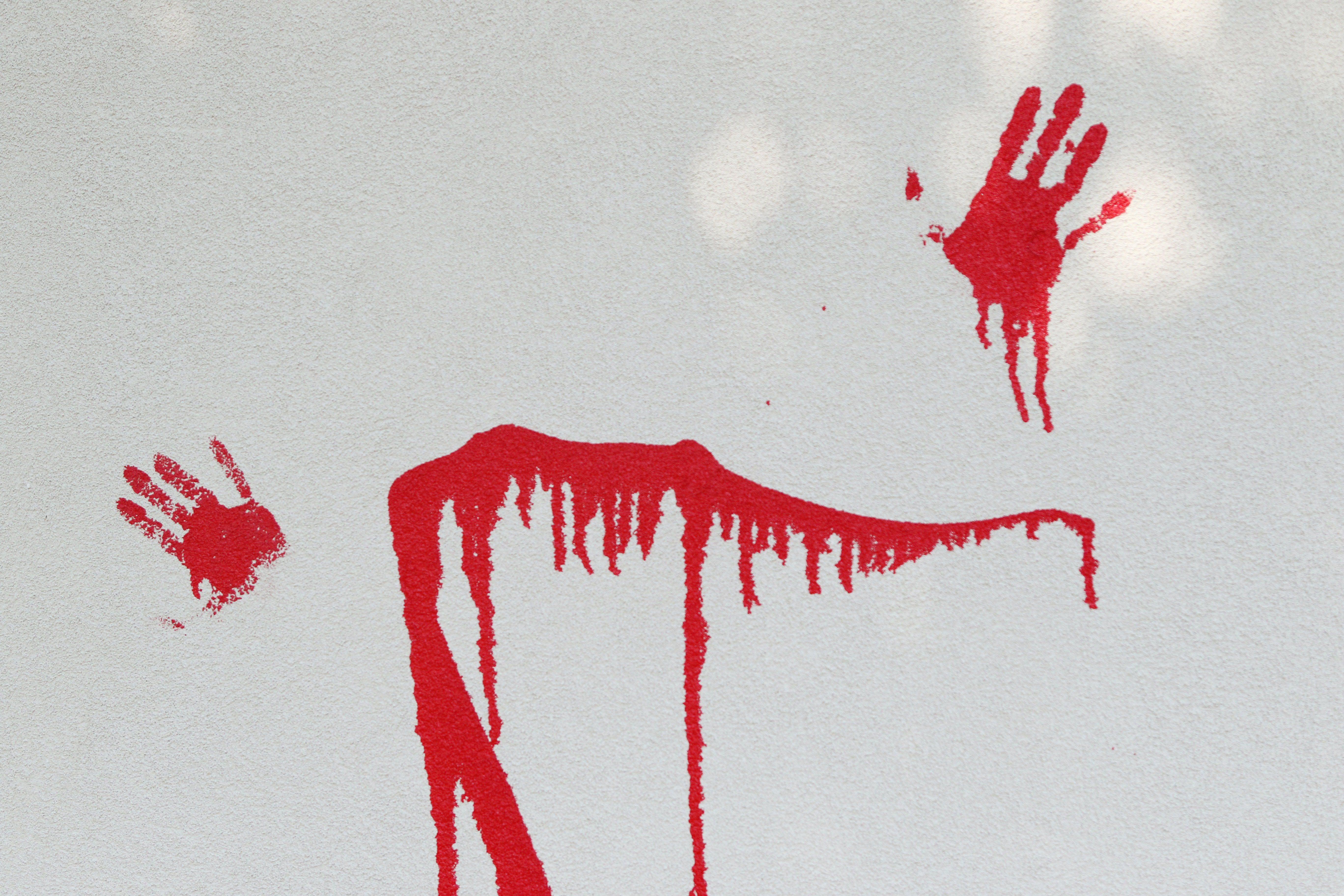 Napadi na crkve u Kanadi (Anadolija)