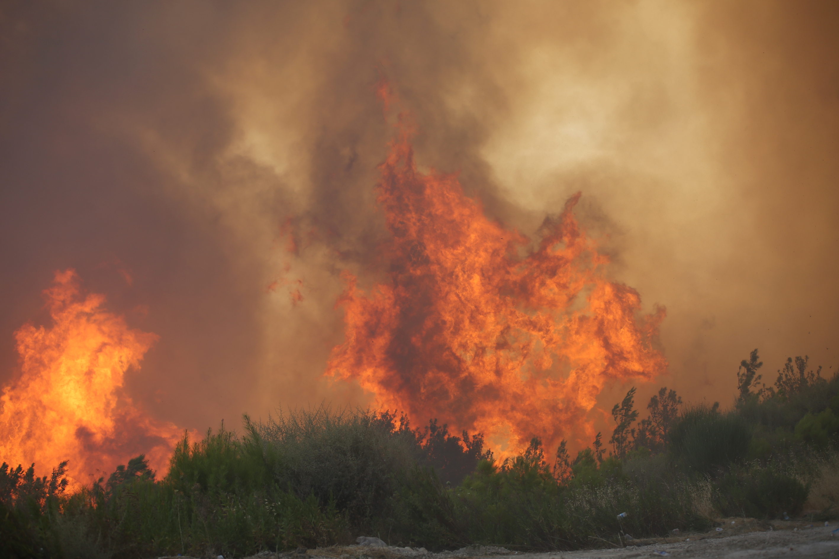 Turska: Nastavlja se gašenje požara sa kopna i iz zraka