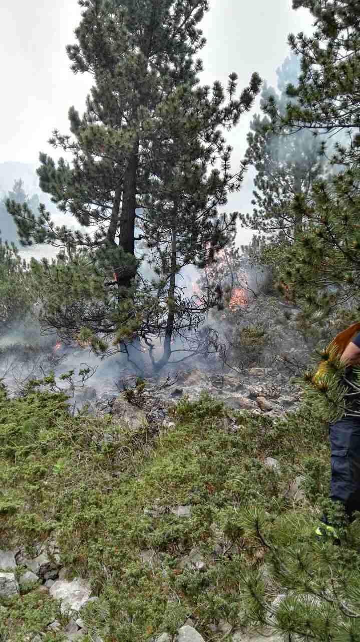 20227939_10154900625648693_821514750_o