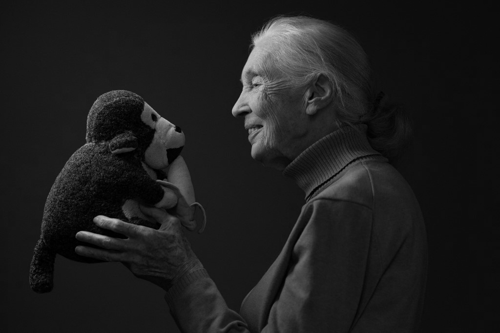 Jane Goodall