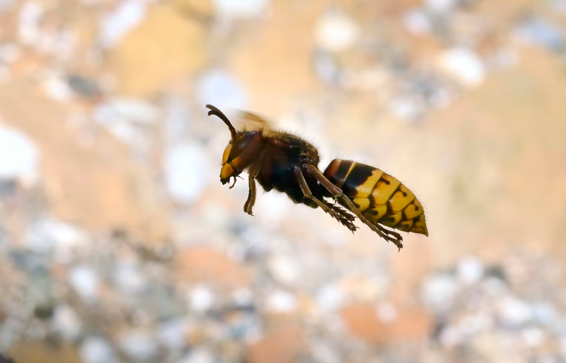 Screenshot 2025-10-04 120408