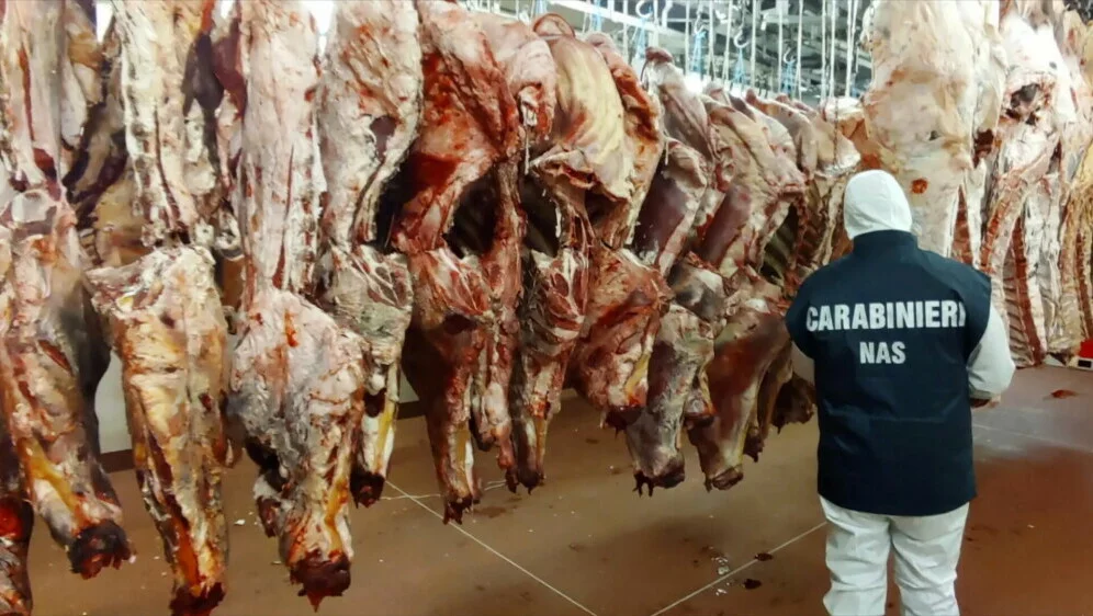 63168729-zapljena-pokvarene-hrane