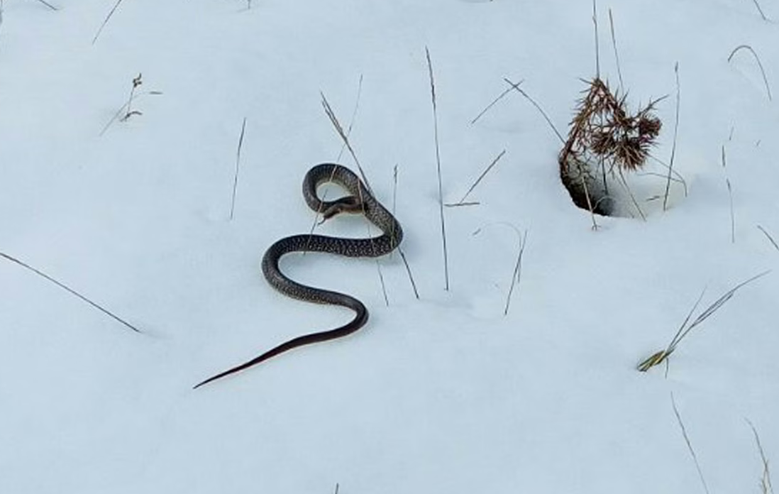 Screenshot 2025-10-09 171535