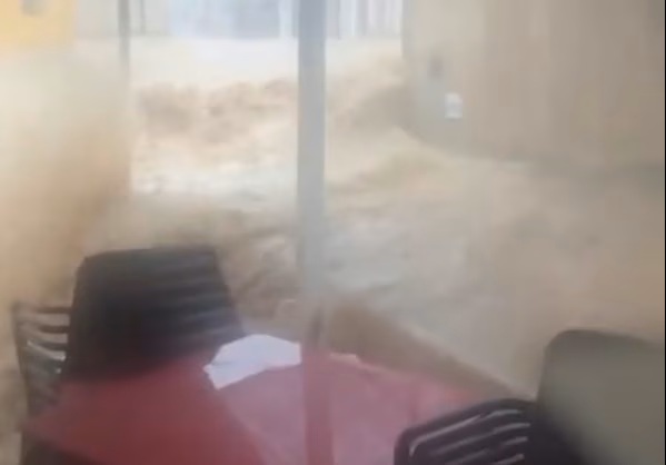 1760333418_katalo.format-avif.width-900