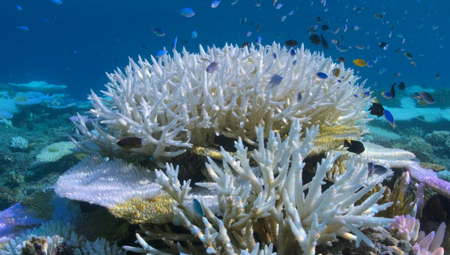 Screenshot 2025-10-13 205802