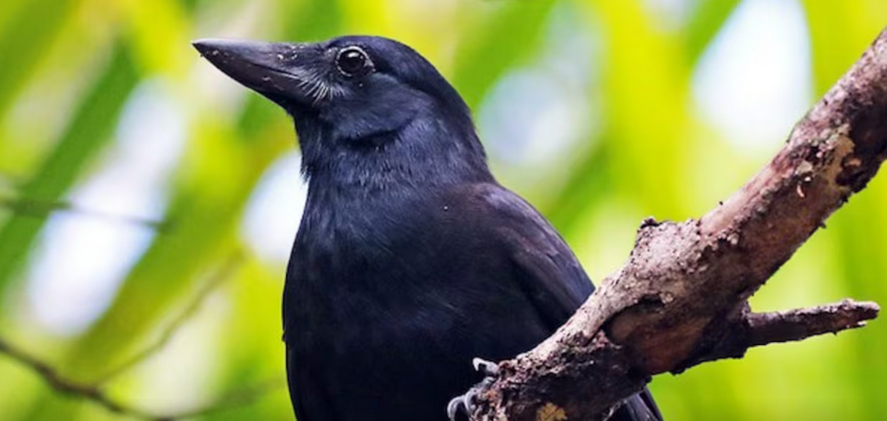 Screenshot 2025-10-15 173235