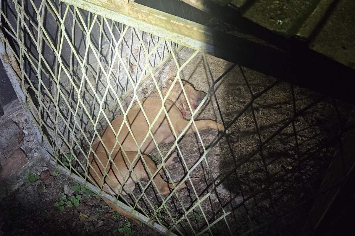 20251019153608_933509