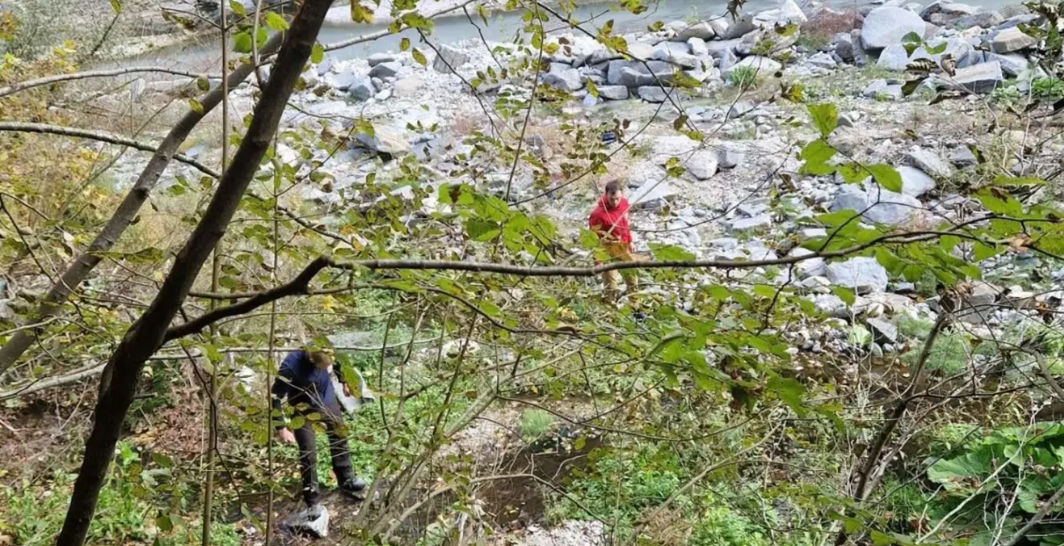 Screenshot 2025-10-20 081527